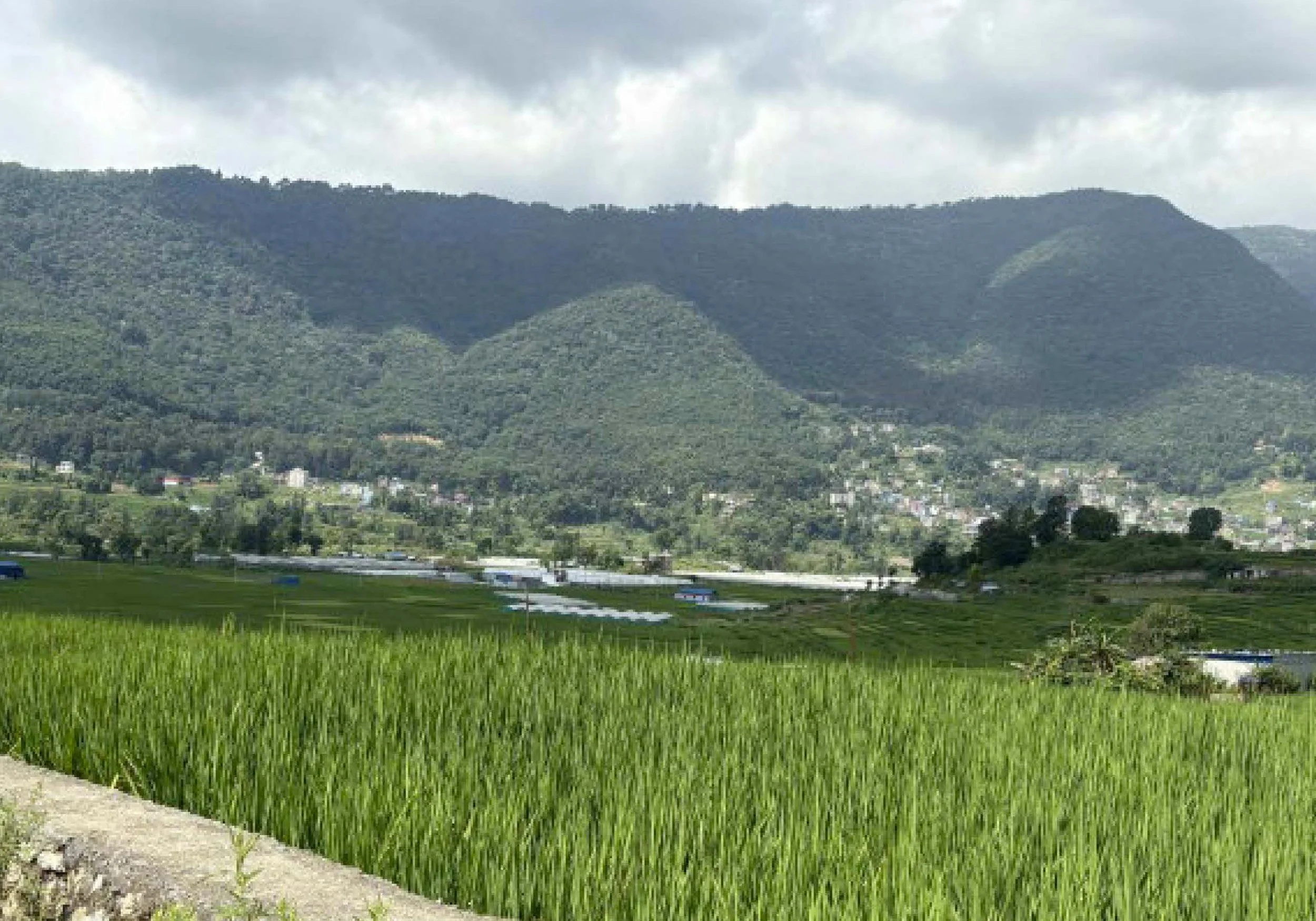 Land Mukti interior concept_WEB.jpg