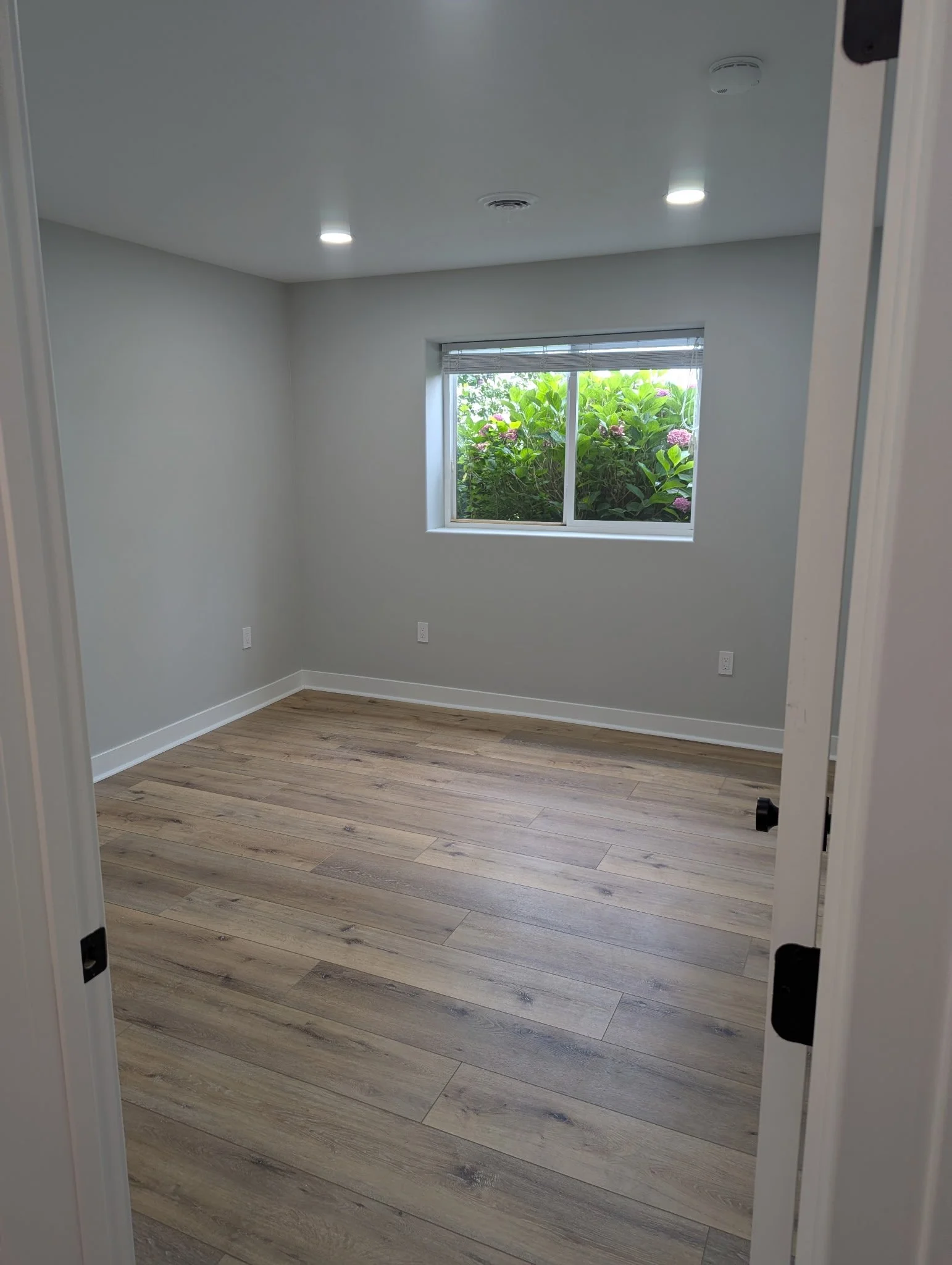 Basement remodel