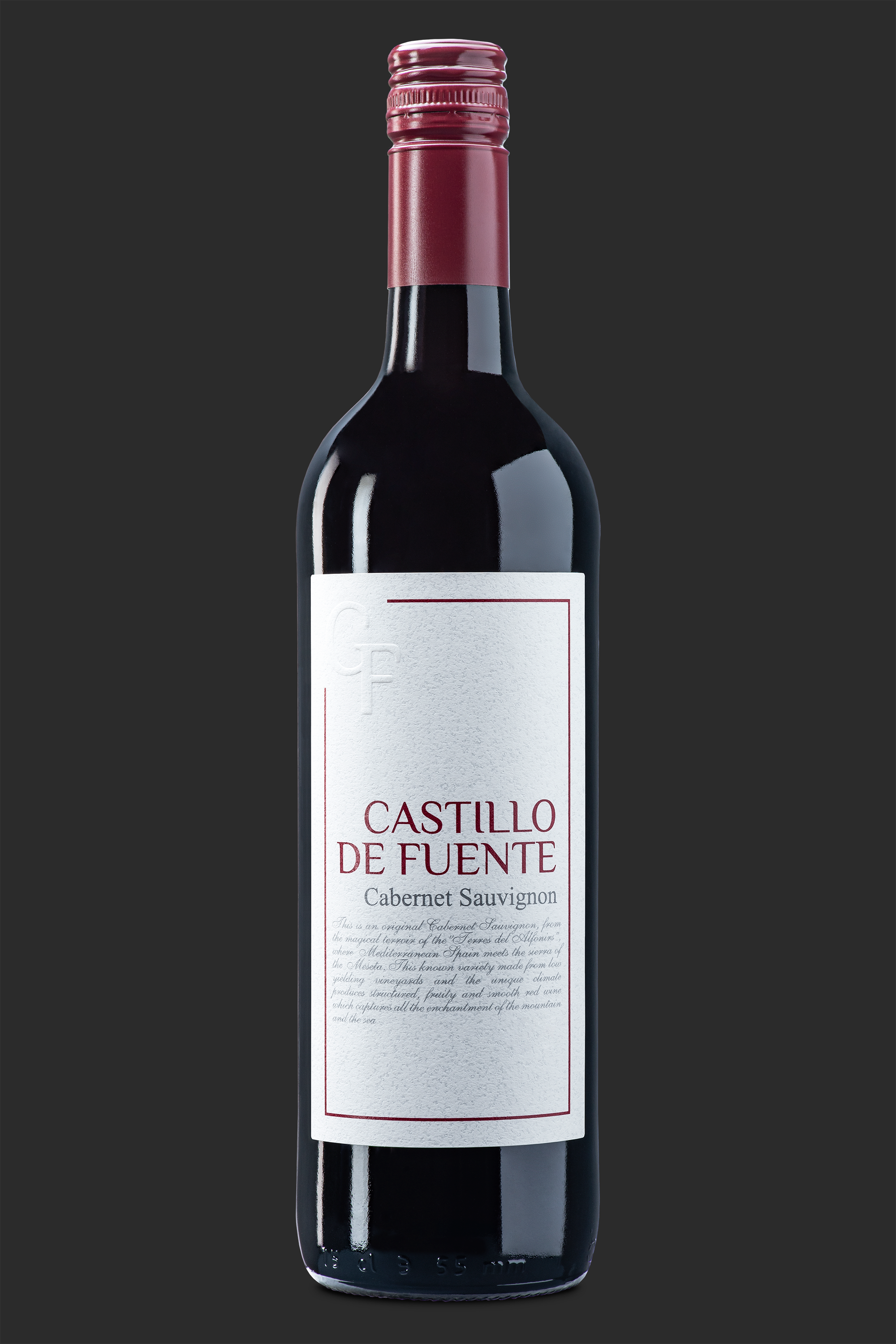 11-castillo de fuente.png