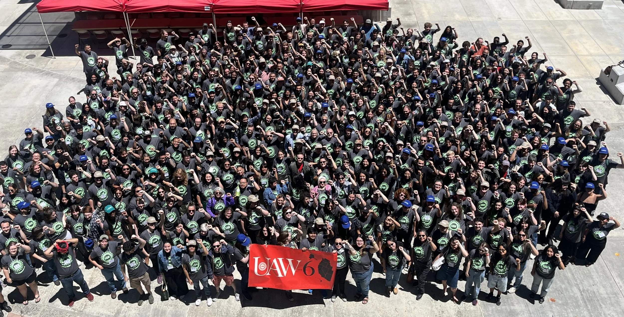 December Newsletter: 2025 in Review