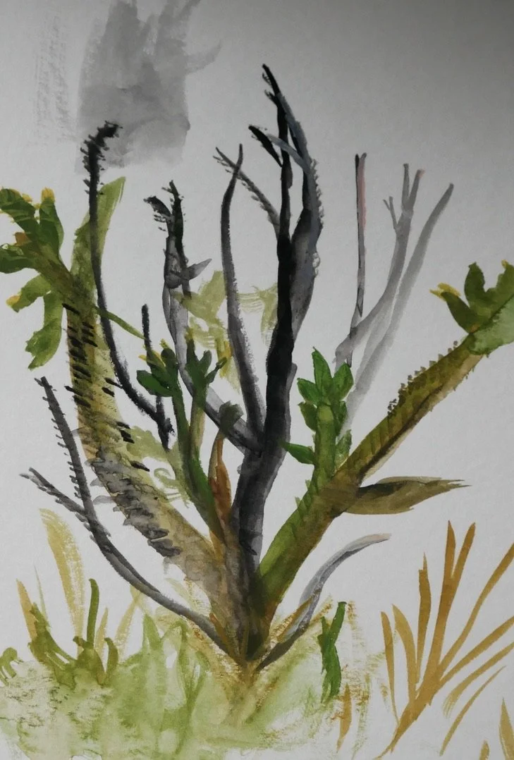 desert painting (cactus, Guadalupe Mountains)