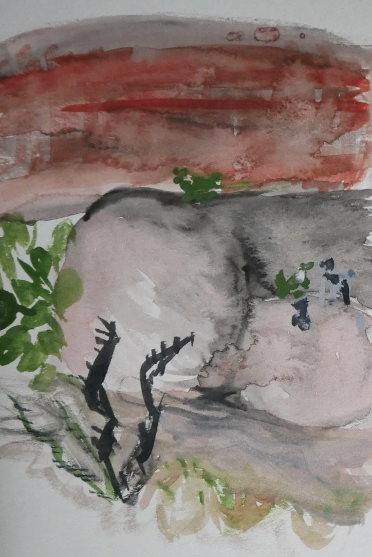 desert painting, Seminole Canyon
