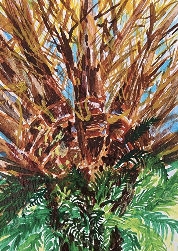 Lakewood Ranch website.jpg