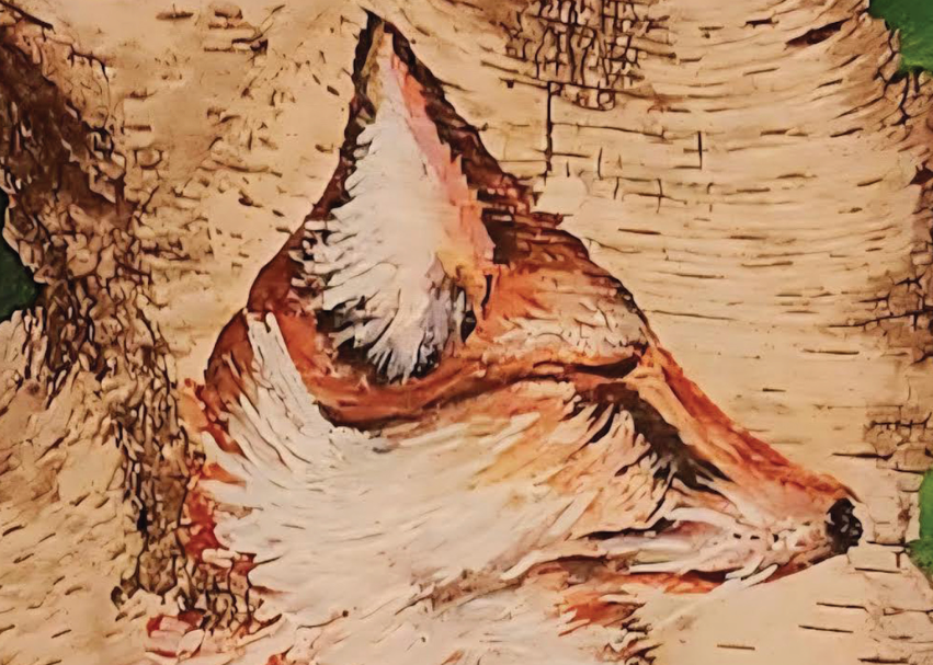 The Day the Fox Jumped Out