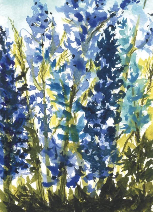 Cottage Garden