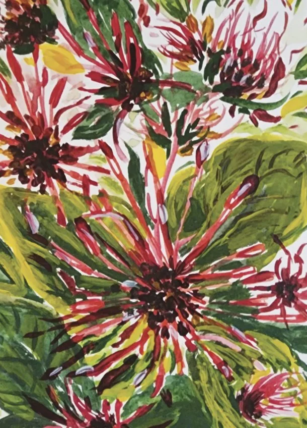 Pink Stars website.jpg