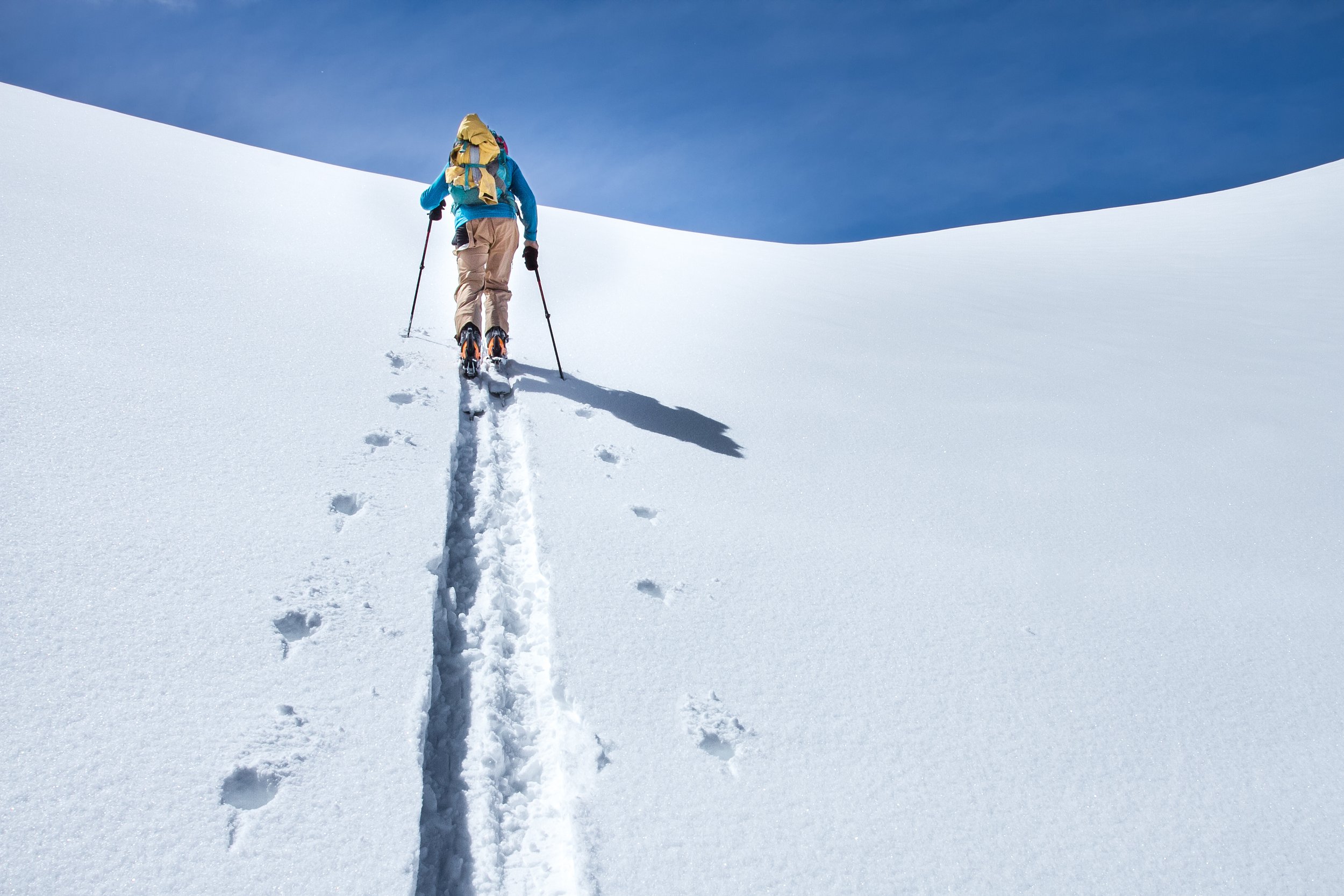 A person in tan pants and light blue long sleeve shirt skins uphill in the Red Mountain Pass backcountry