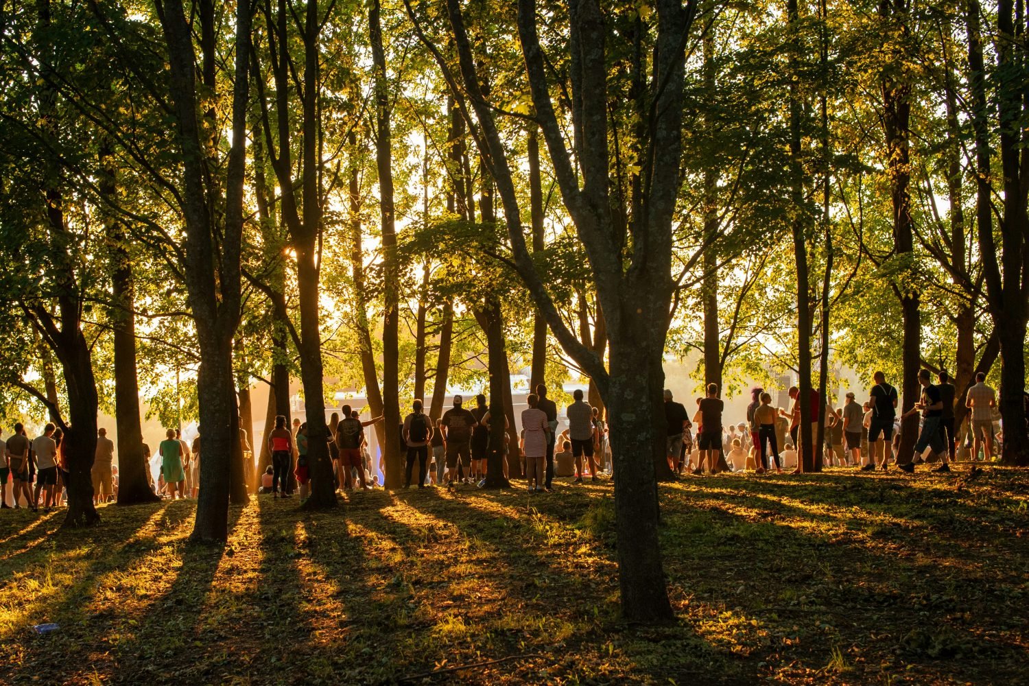 At the Threshold: a four part series on Buddhist Eco-Chaplaincy (Panel 3)