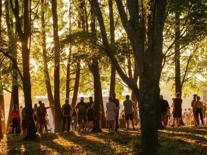At the Threshold: a four part series on Buddhist Eco-Chaplaincy (Panel 2)