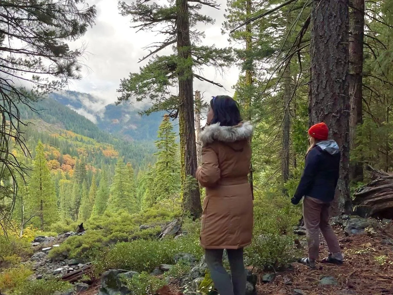 two people on a green mountain ridge overlooking the landscape