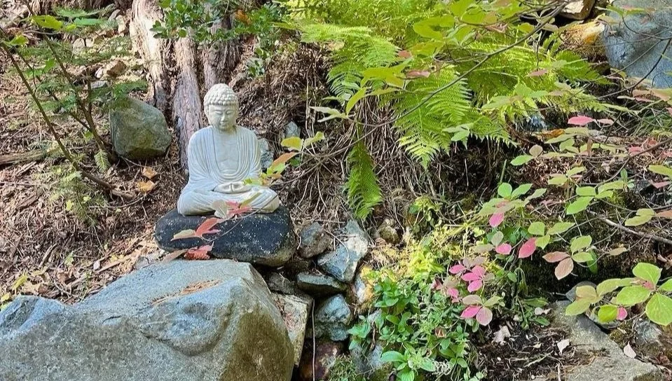 meditating Buddha statue amongst rocks and lush greenery