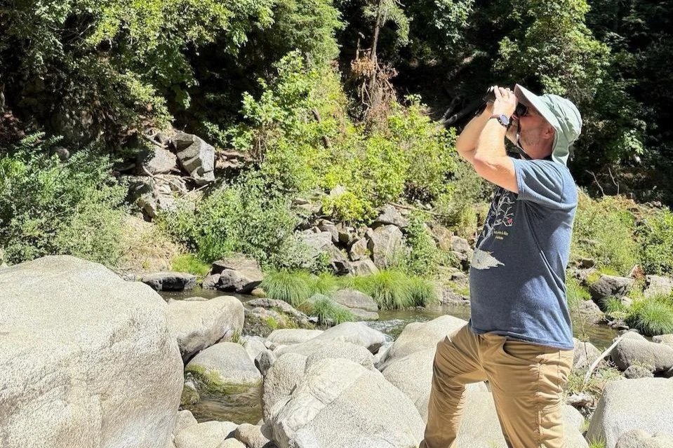 person with binoculars standing amongst large rocks looking up in the trees
