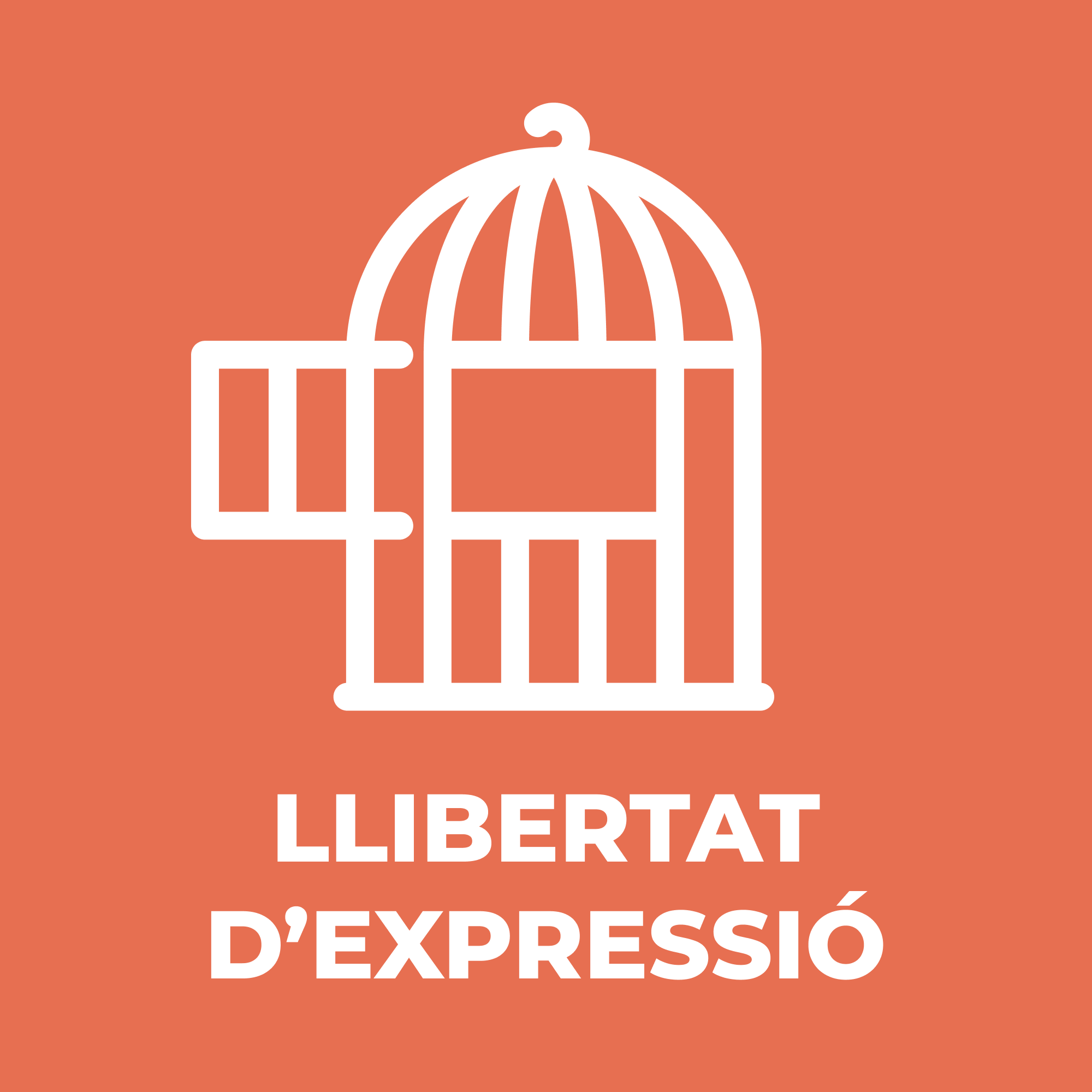 Llibertat d'Expressió