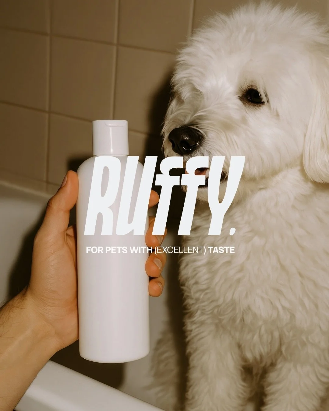 Br&auml;ndisuunnittelu // RUFFY @ruffy.fi 

Heti vuoden alkajaisiksi on jaettava kurkistus loppuvuonna toteutettuun br&auml;nd&auml;ysprojektiin! ❤️&zwj;🔥

Sain kunnian toimia suunnittelijana uudelle lemmikkitarvikkeiden verkkokaupalle. Luotiin suun