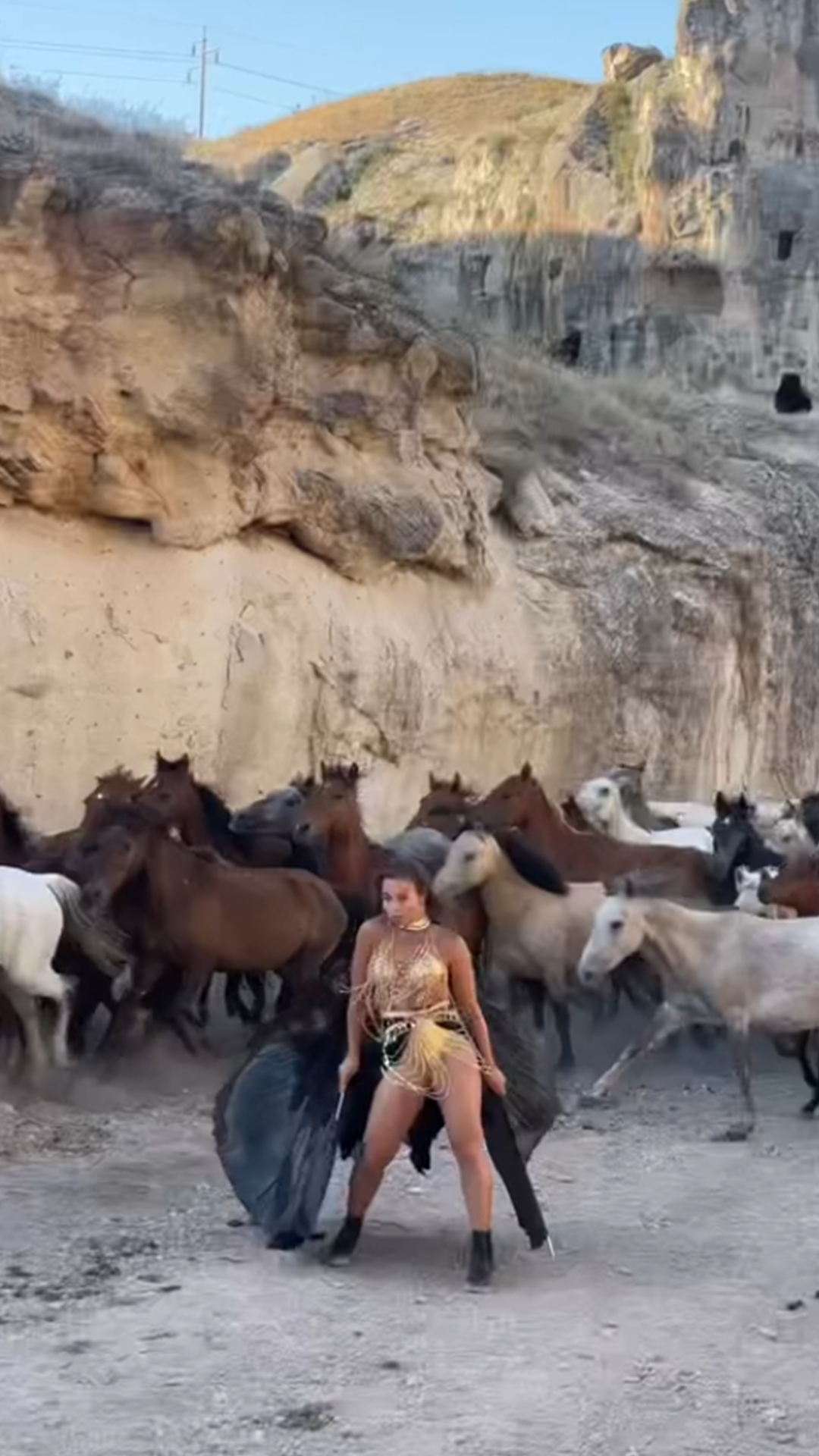 Dark Horse