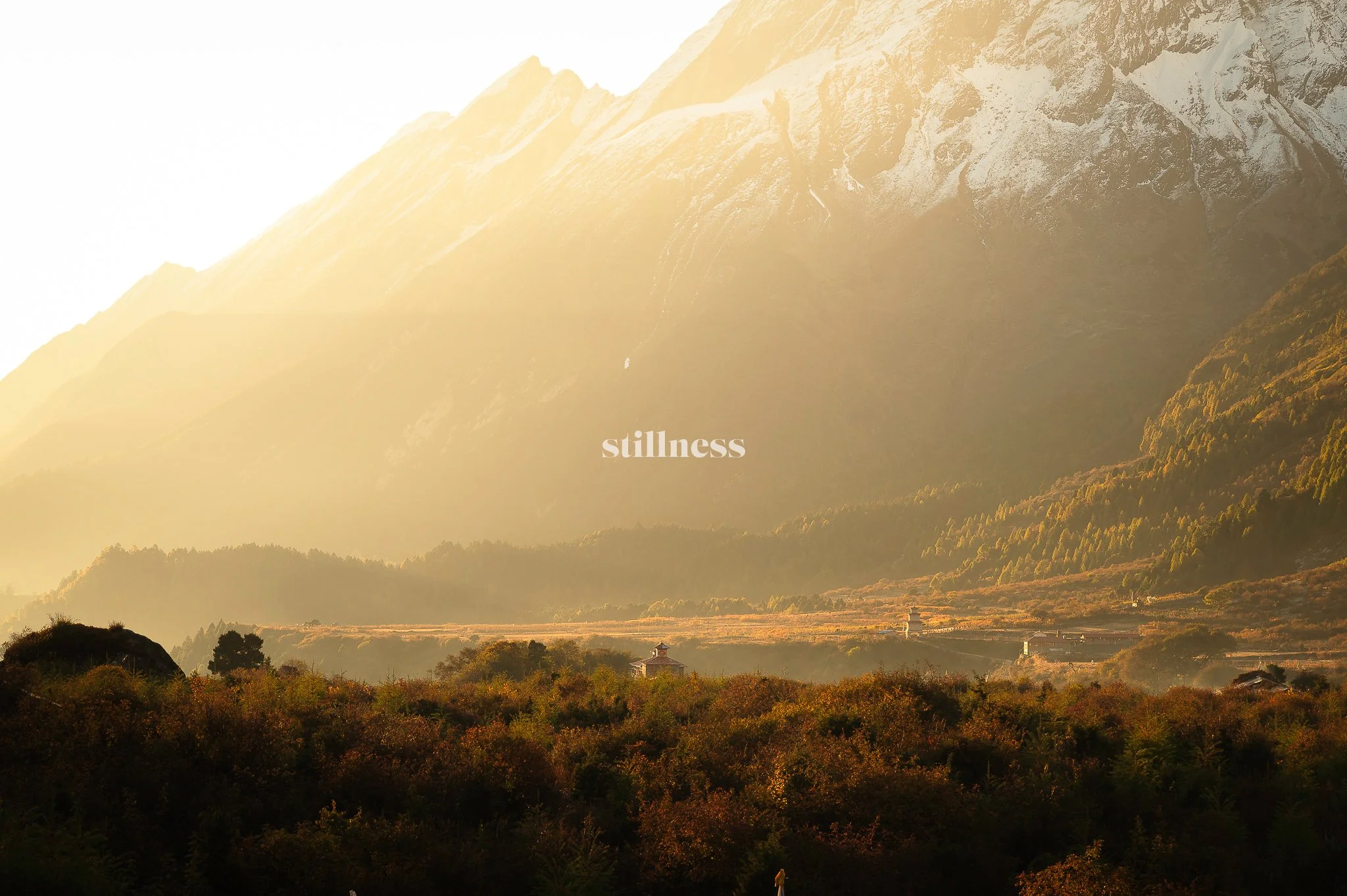 Stillness - moments of quietude in landscape