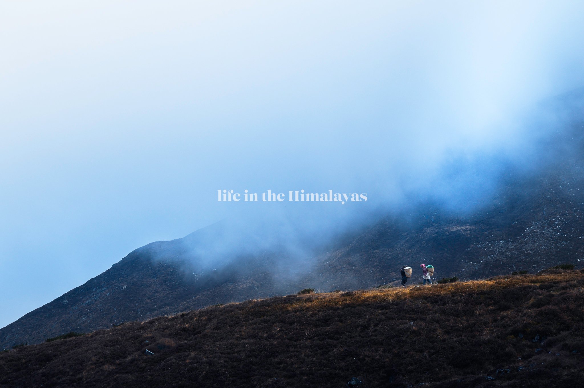 Life in the Himalayas