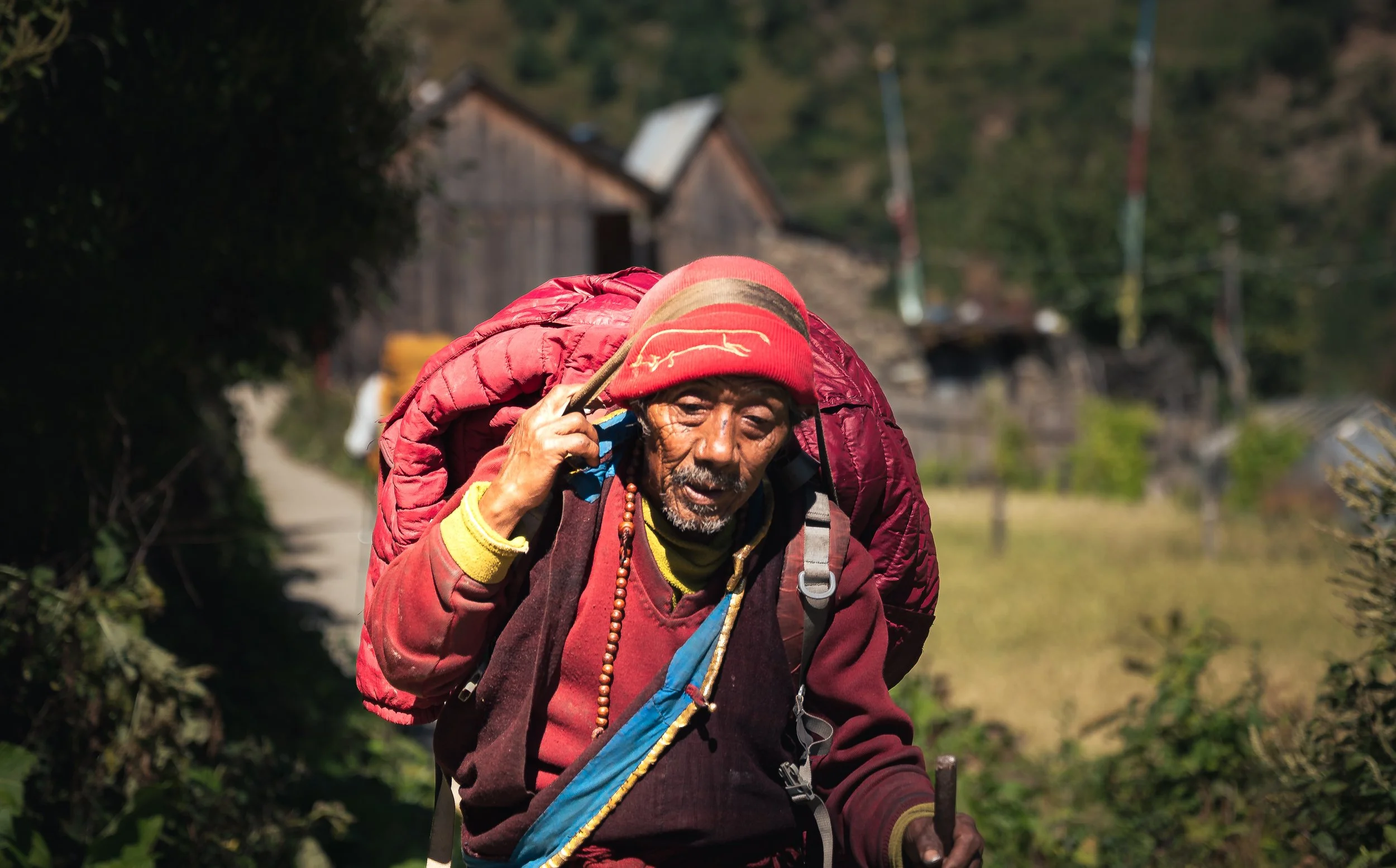 Life in the Himalayas