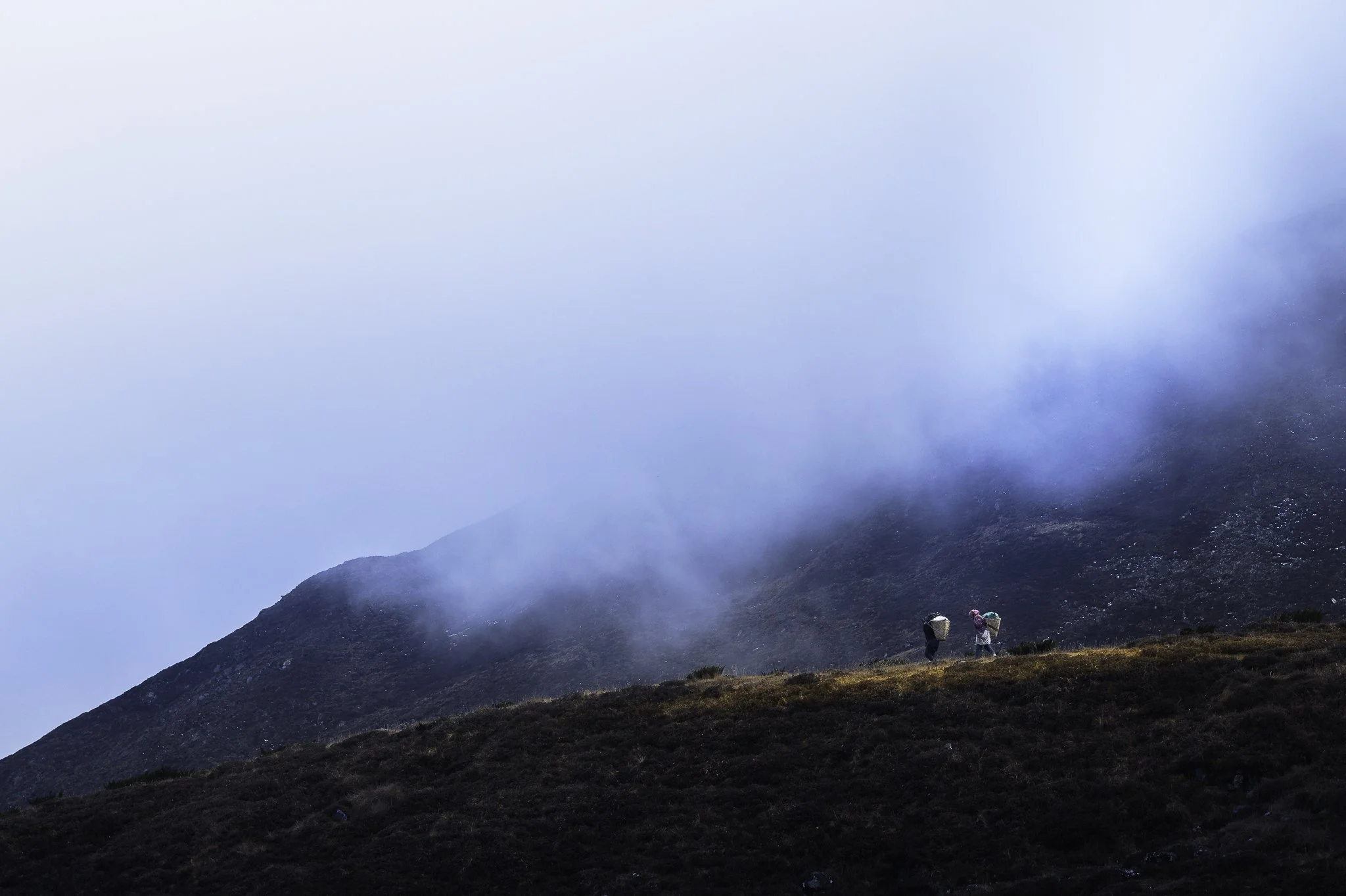 Life in the Himalayas
