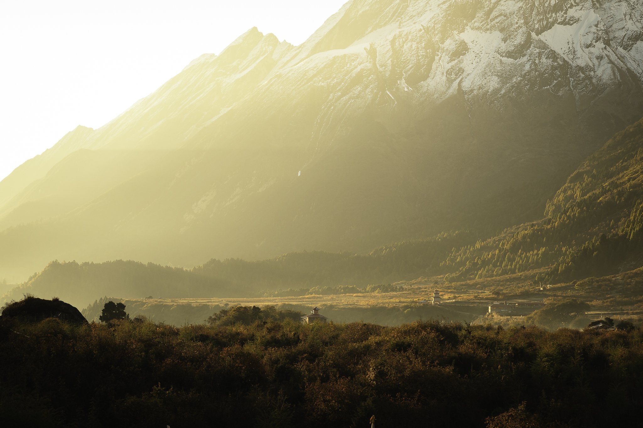 Stillness - moments of quietude in landscape