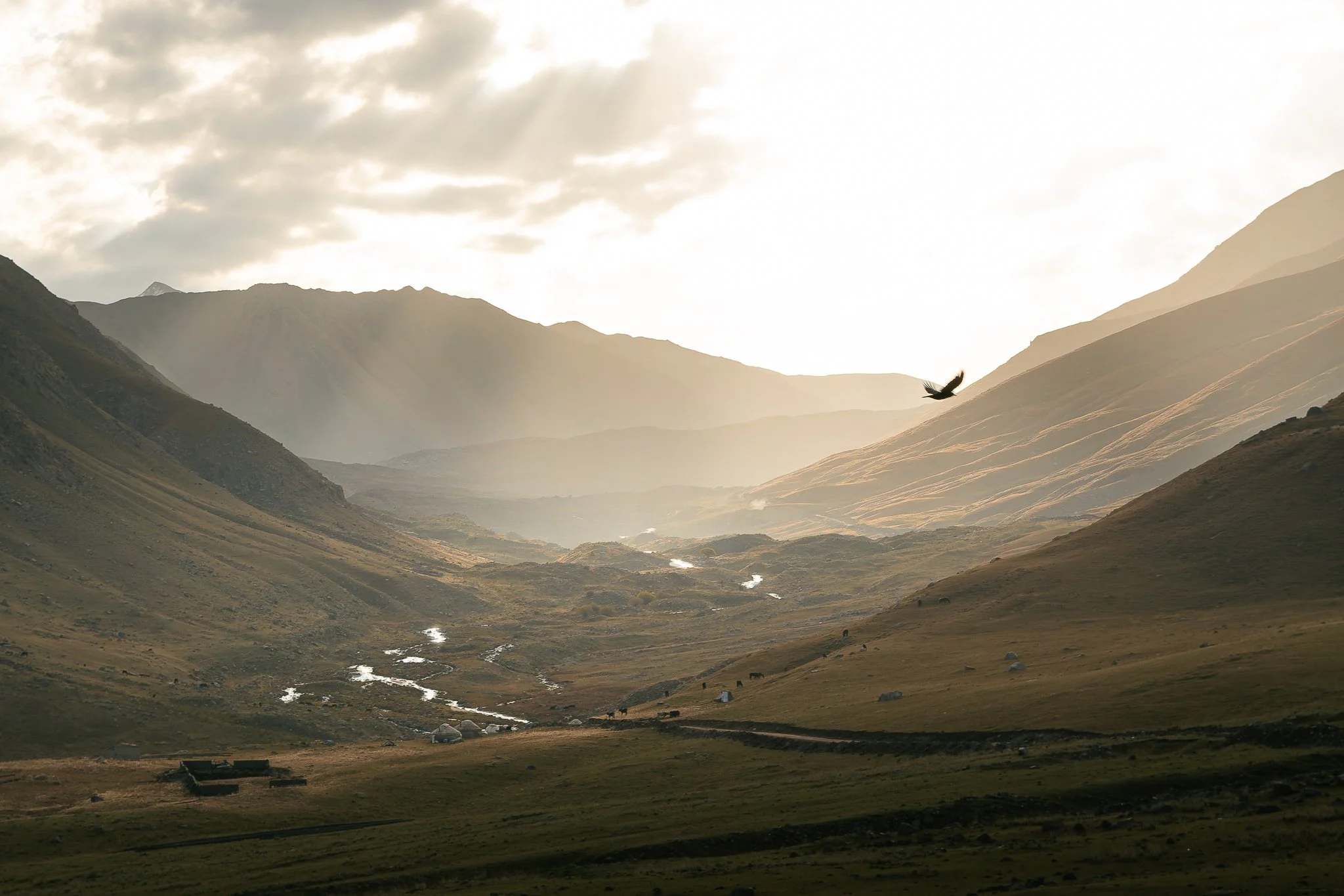 The Land Breathes Color