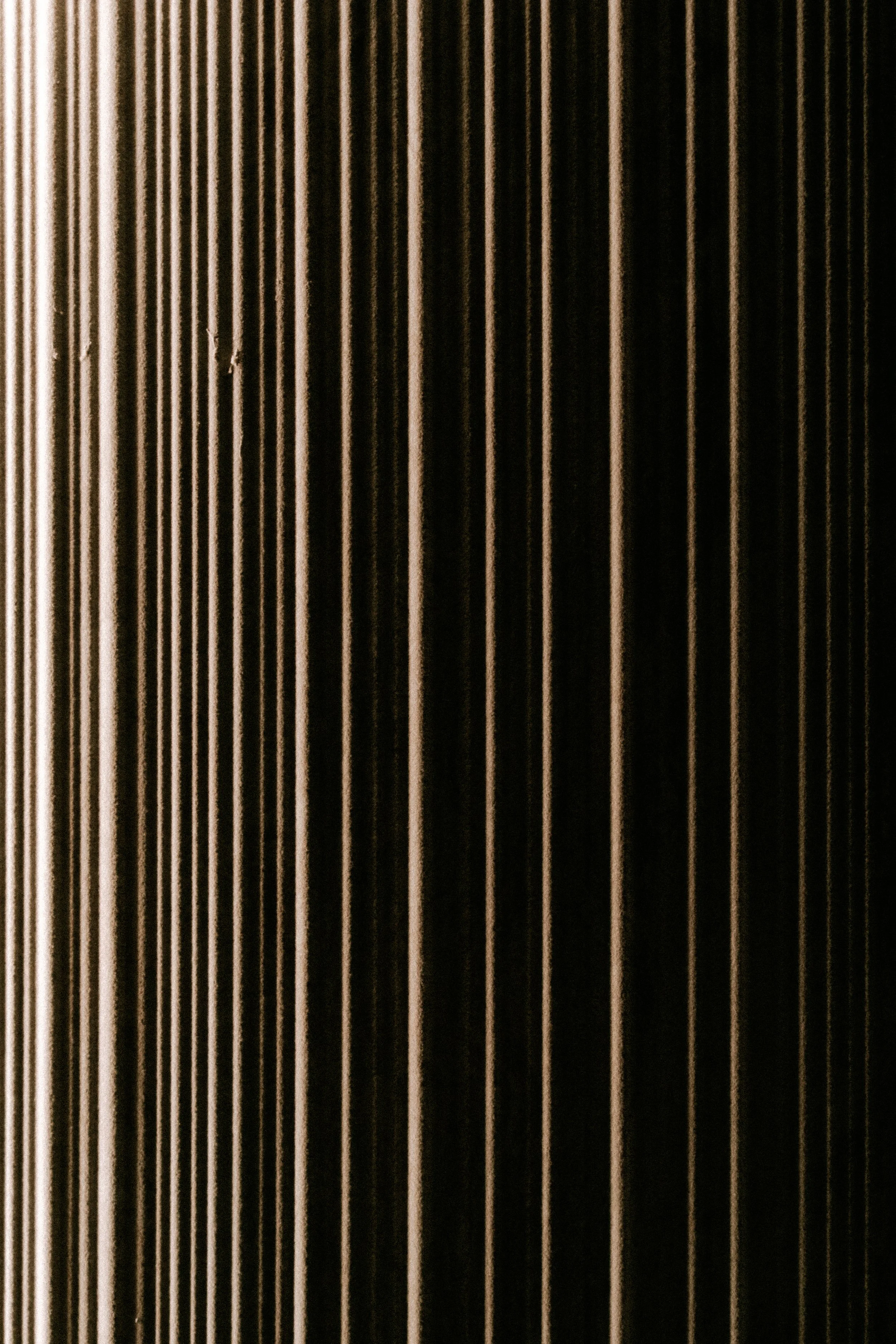 DSC02445.jpg