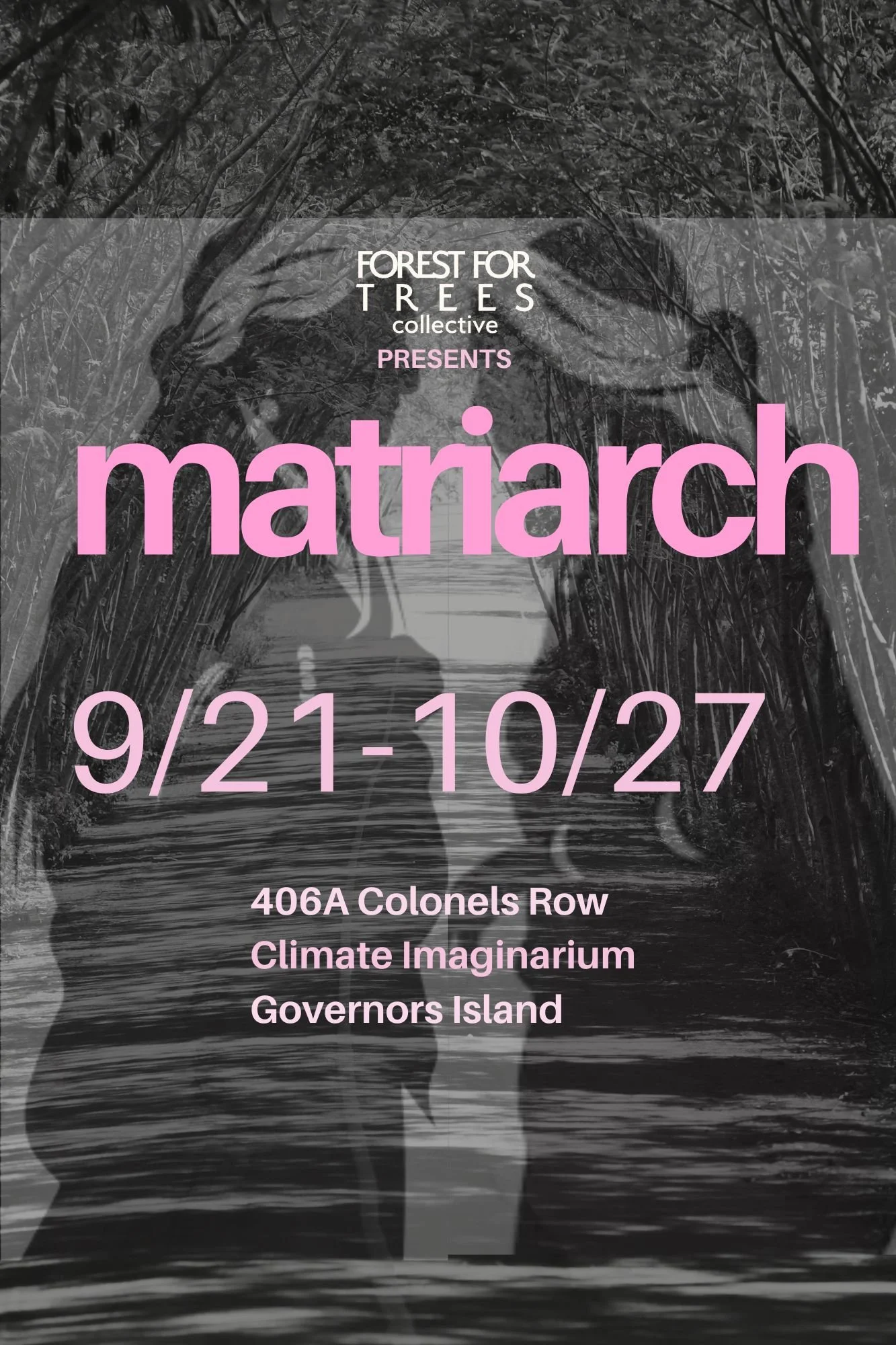 matriarch (8 x 12 in).jpg