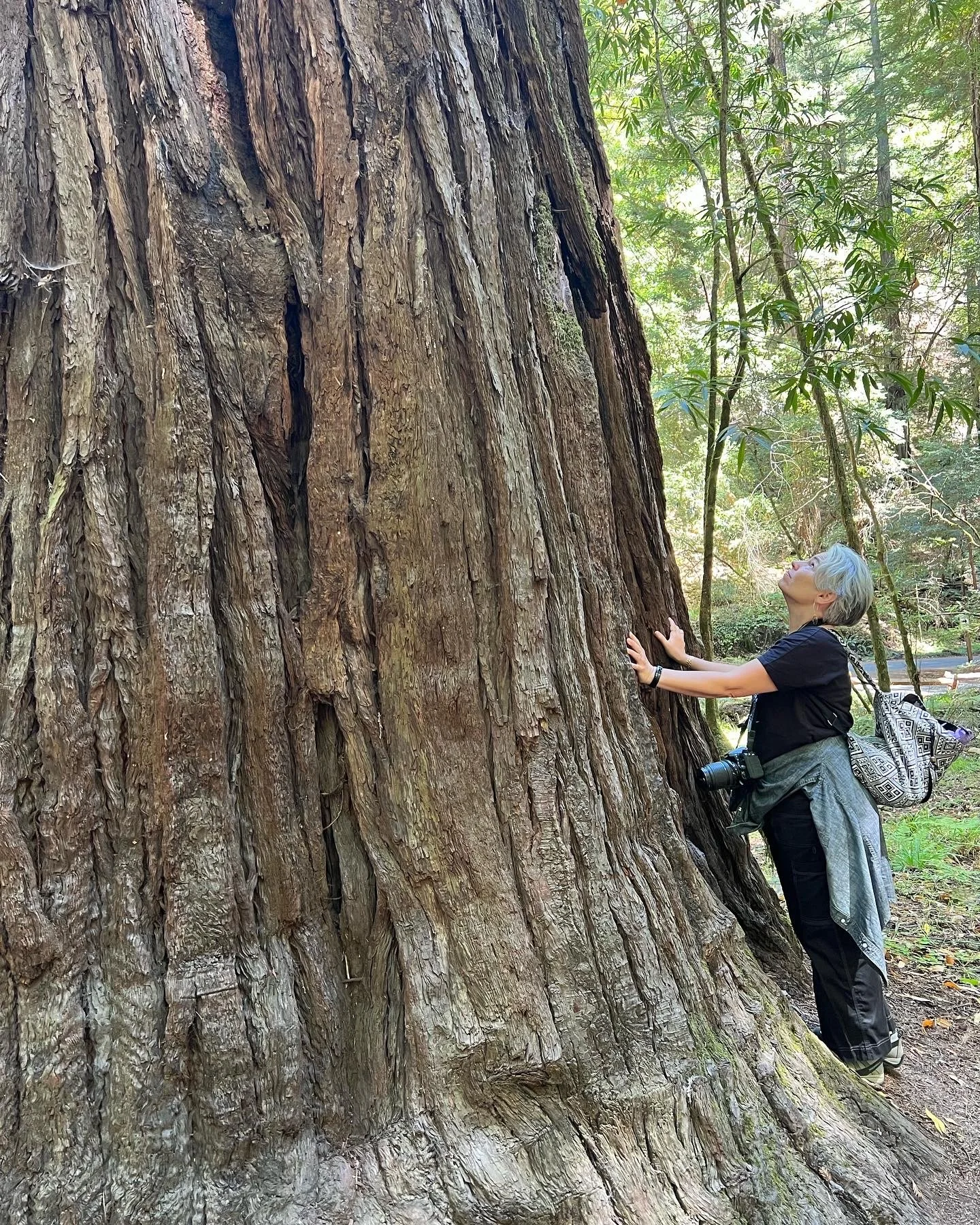 Nina Browne (b.1968) is a self-taught mixed media artist. She also serves as an urban environmental educator at Brooklyn Botanic Garden where she has taught street tree care for over fifteen years. Her eclectic artwork features unexpected and sacred 