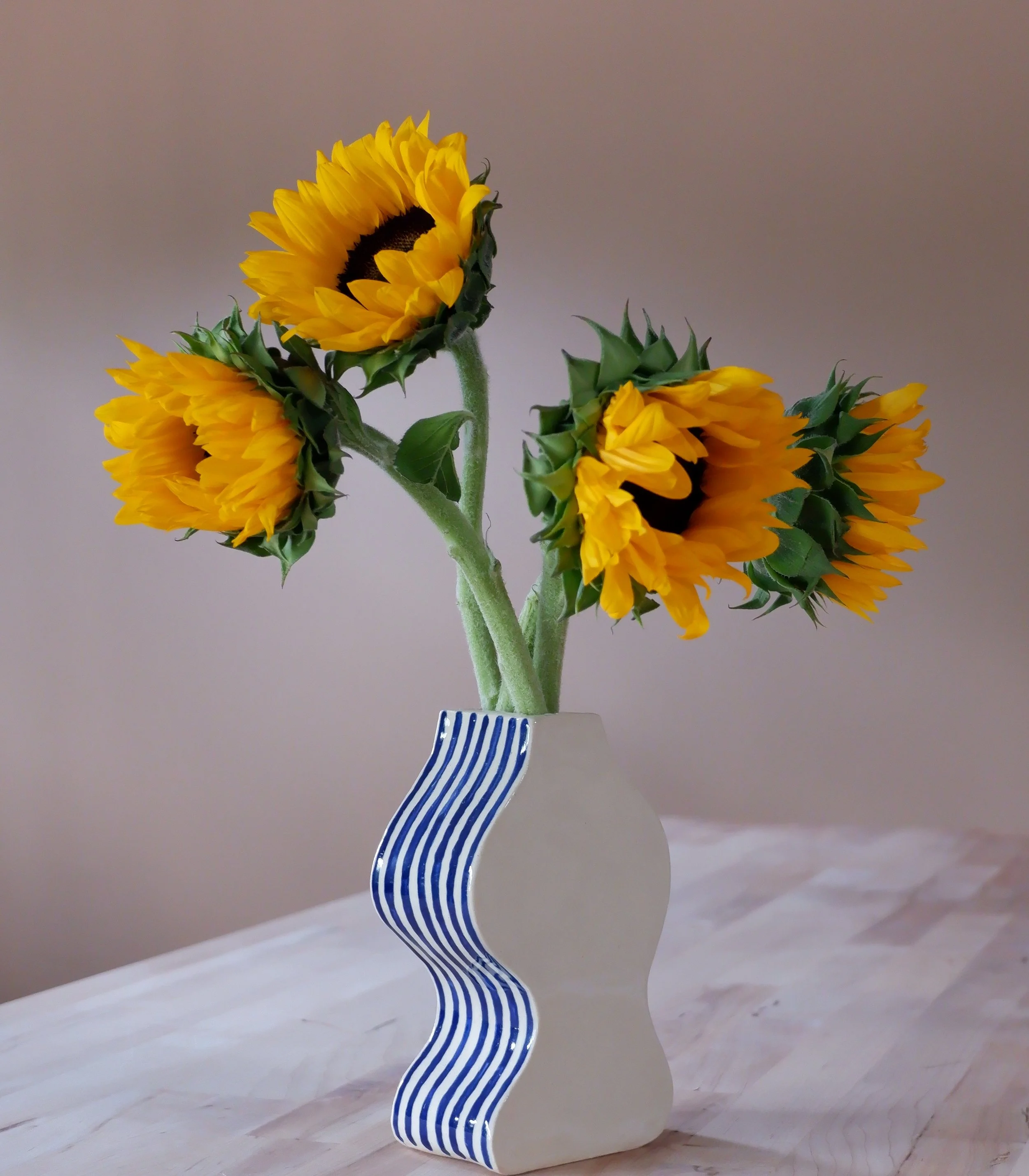 DSCF3910.JPG
