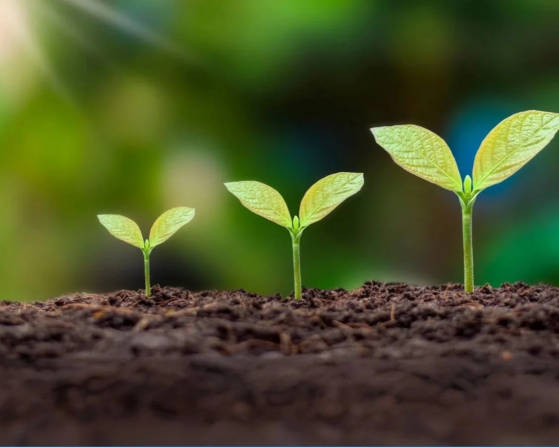 Grow Your Career - Storyline 360