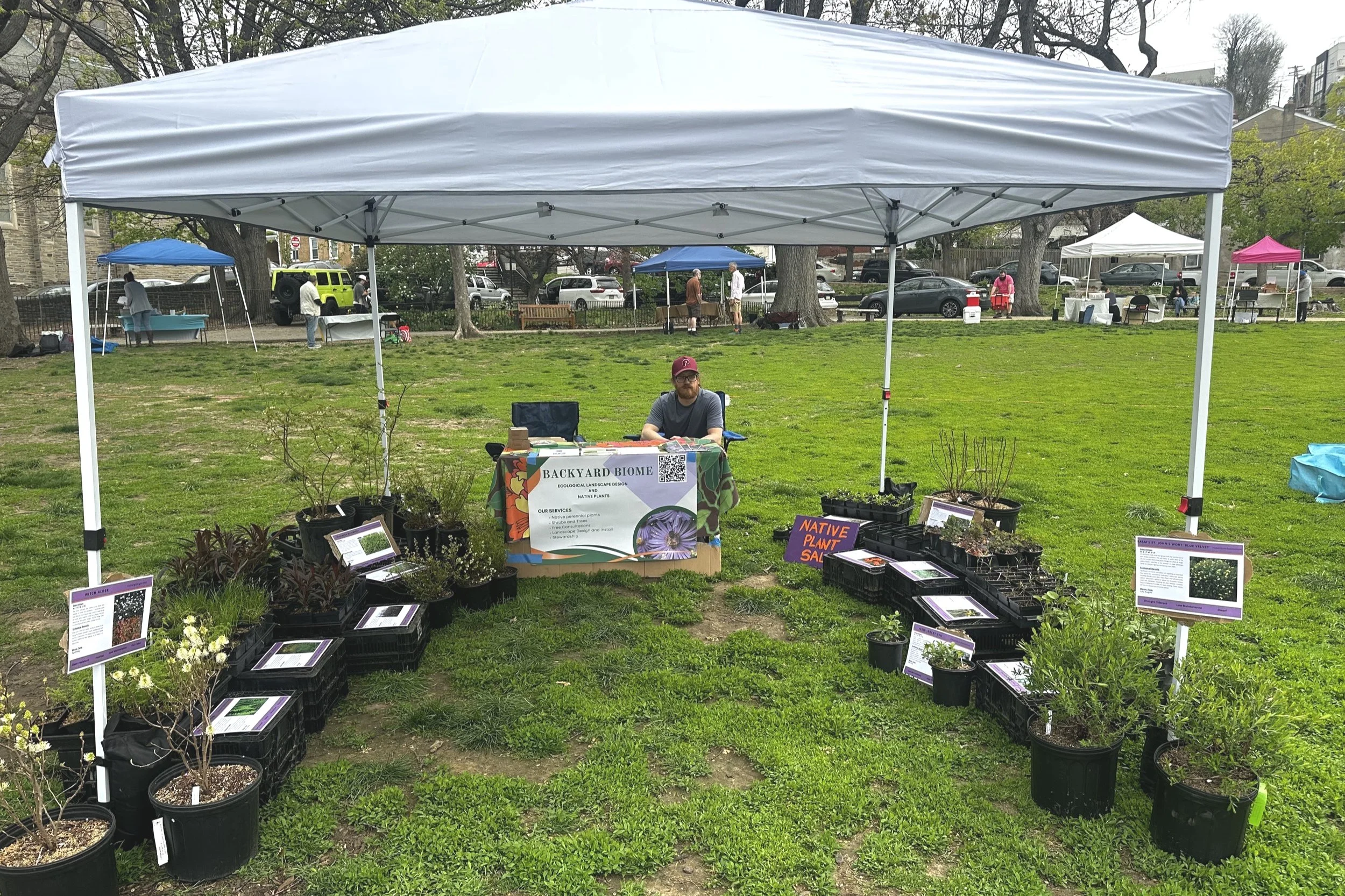 A person sitting behind a table with a banner that reads 'Backyard Biome' at a farmers market. The table and surrounding area display various potted plants and sign boards, with other market stalls visible in the background.