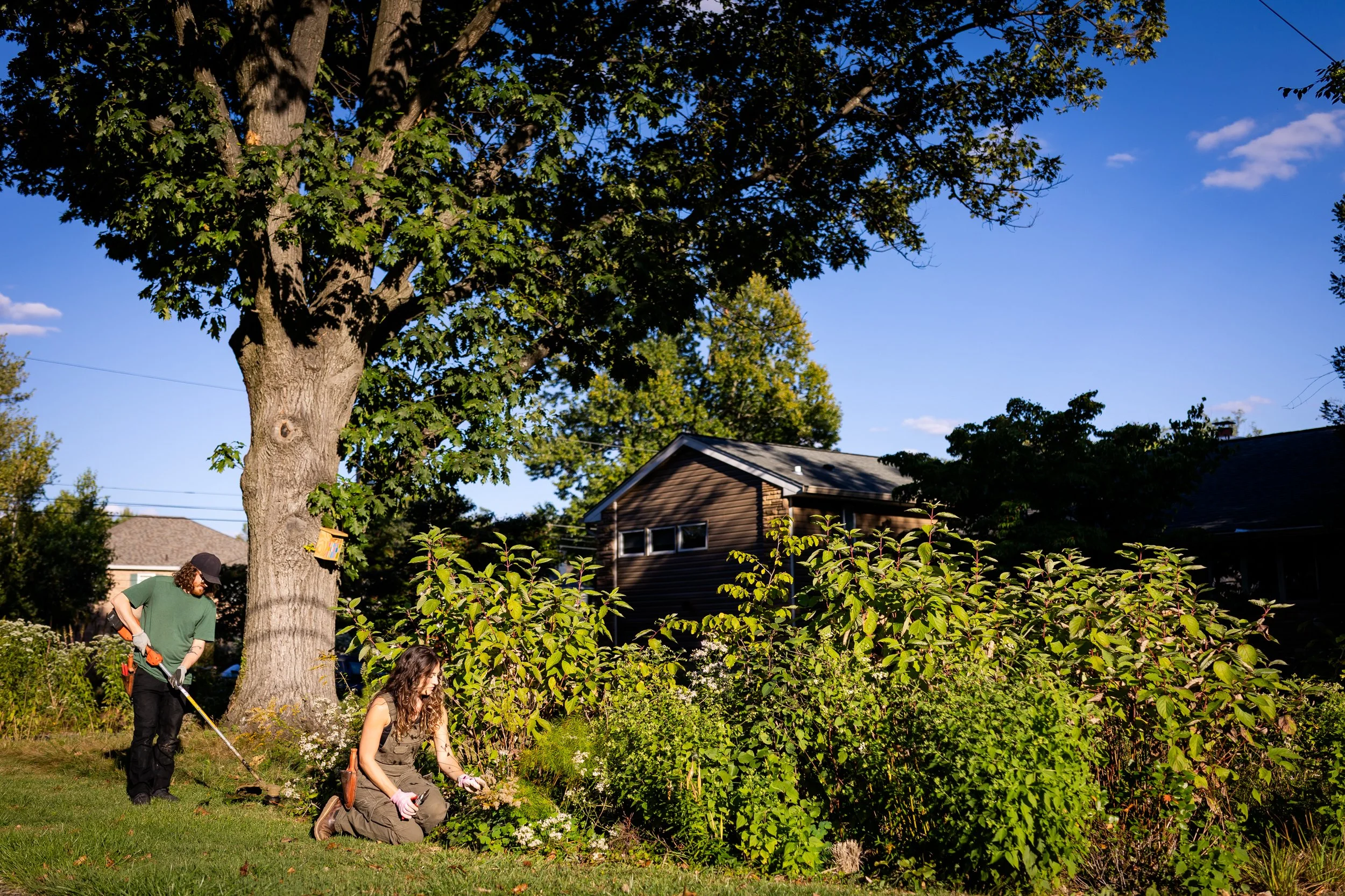 A lush garden bed in front of a house with 2 gardeners busy at work as the daylight dwindles.