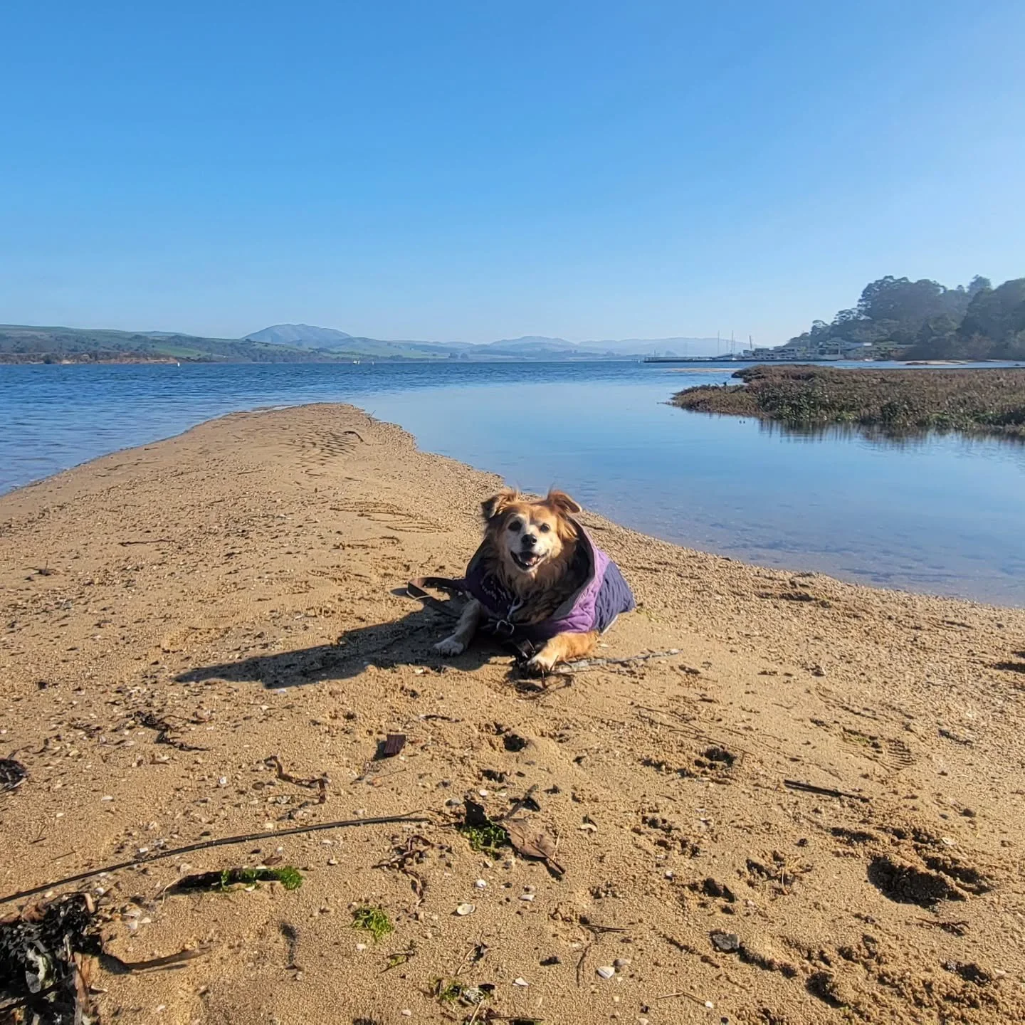 Happy girl Boni! 😊