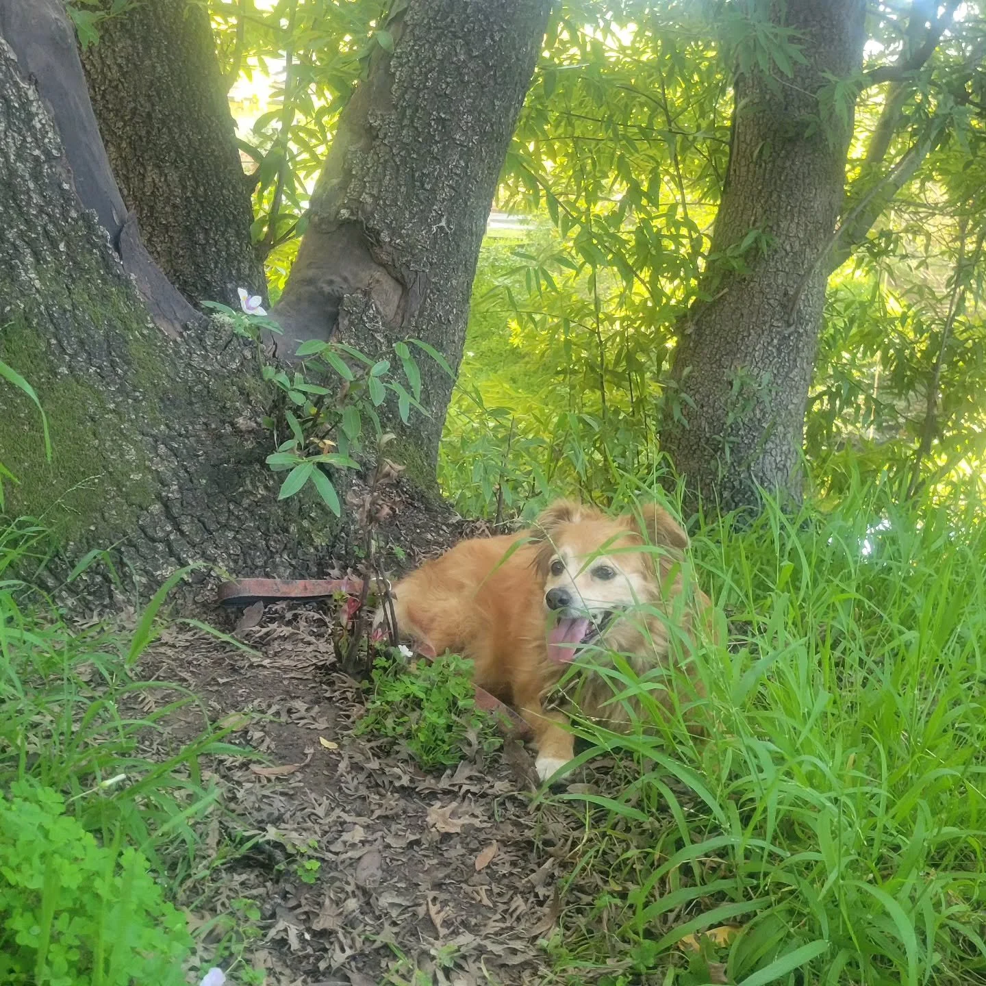 My little jungle girl!