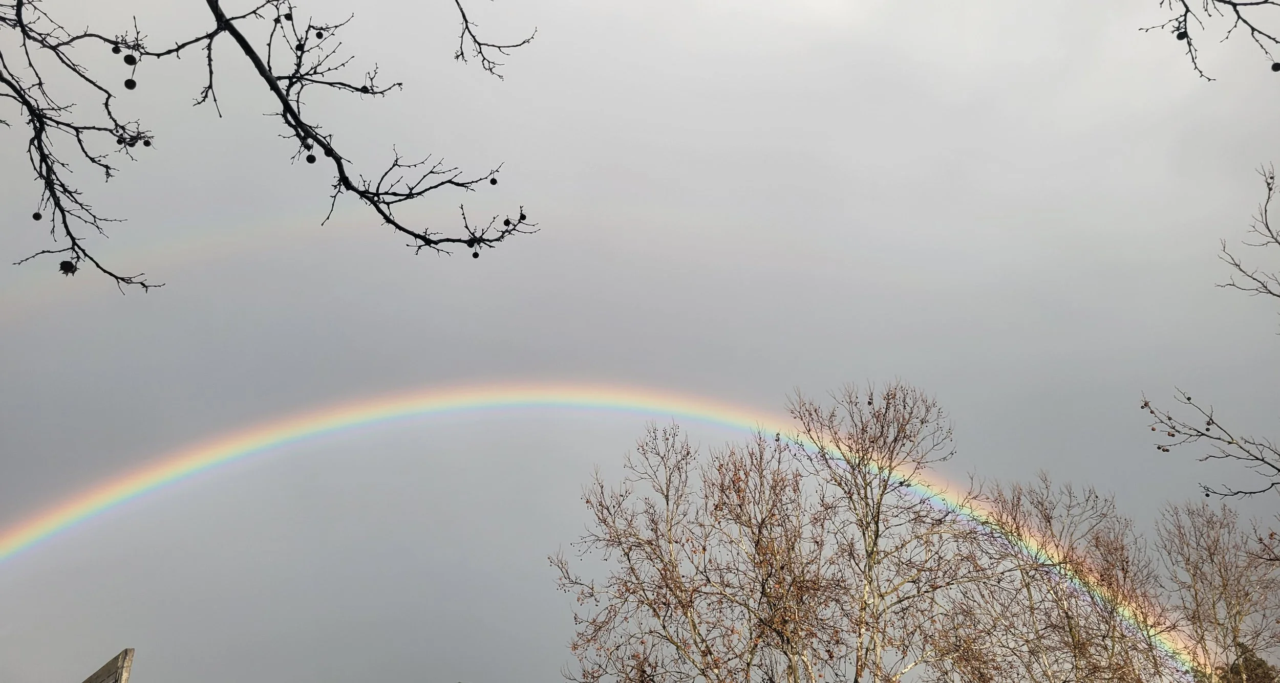 The Beauty of Limitless Potential: Embracing the In-Between
