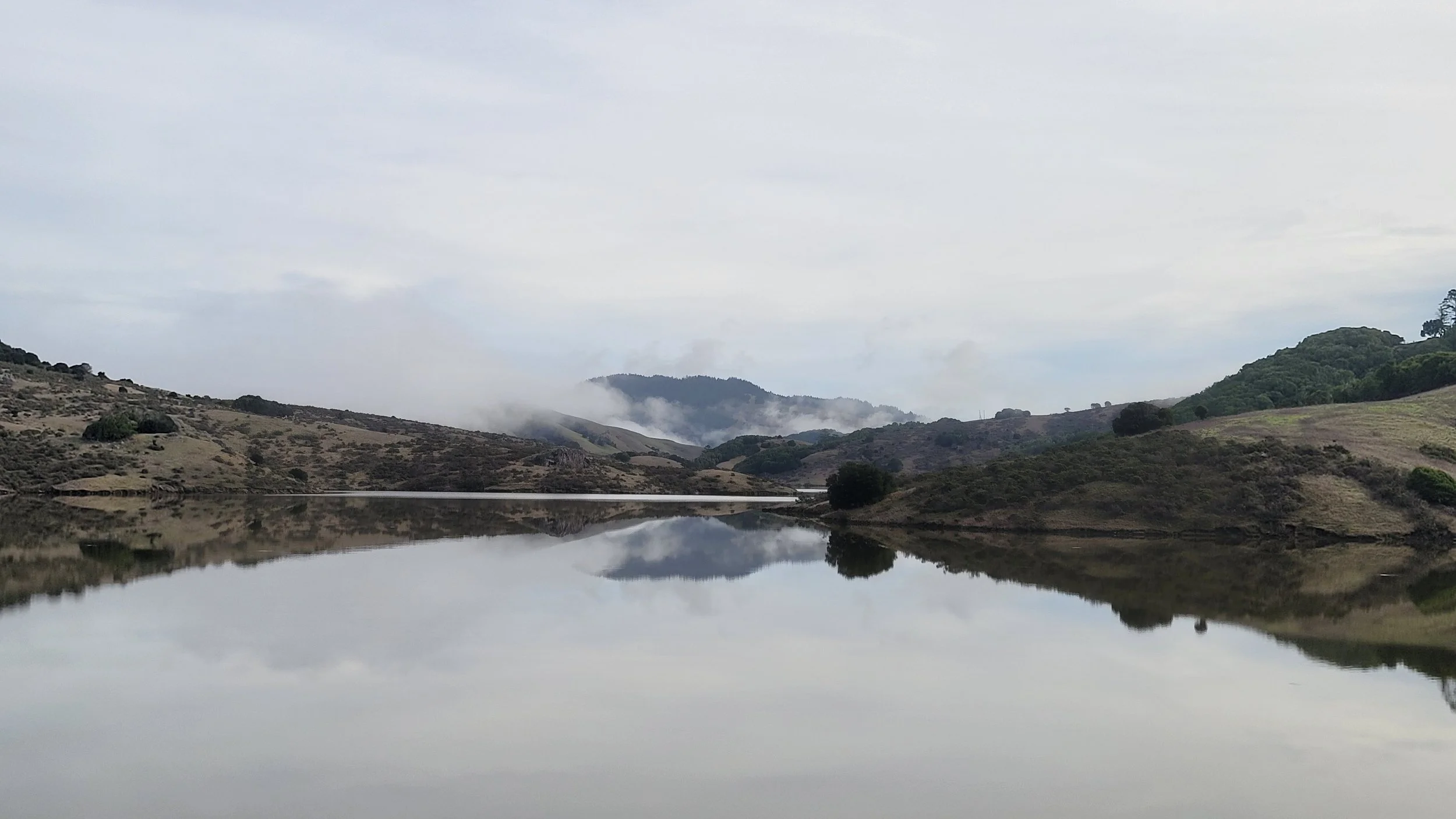 The Breath Between Survival and Healing