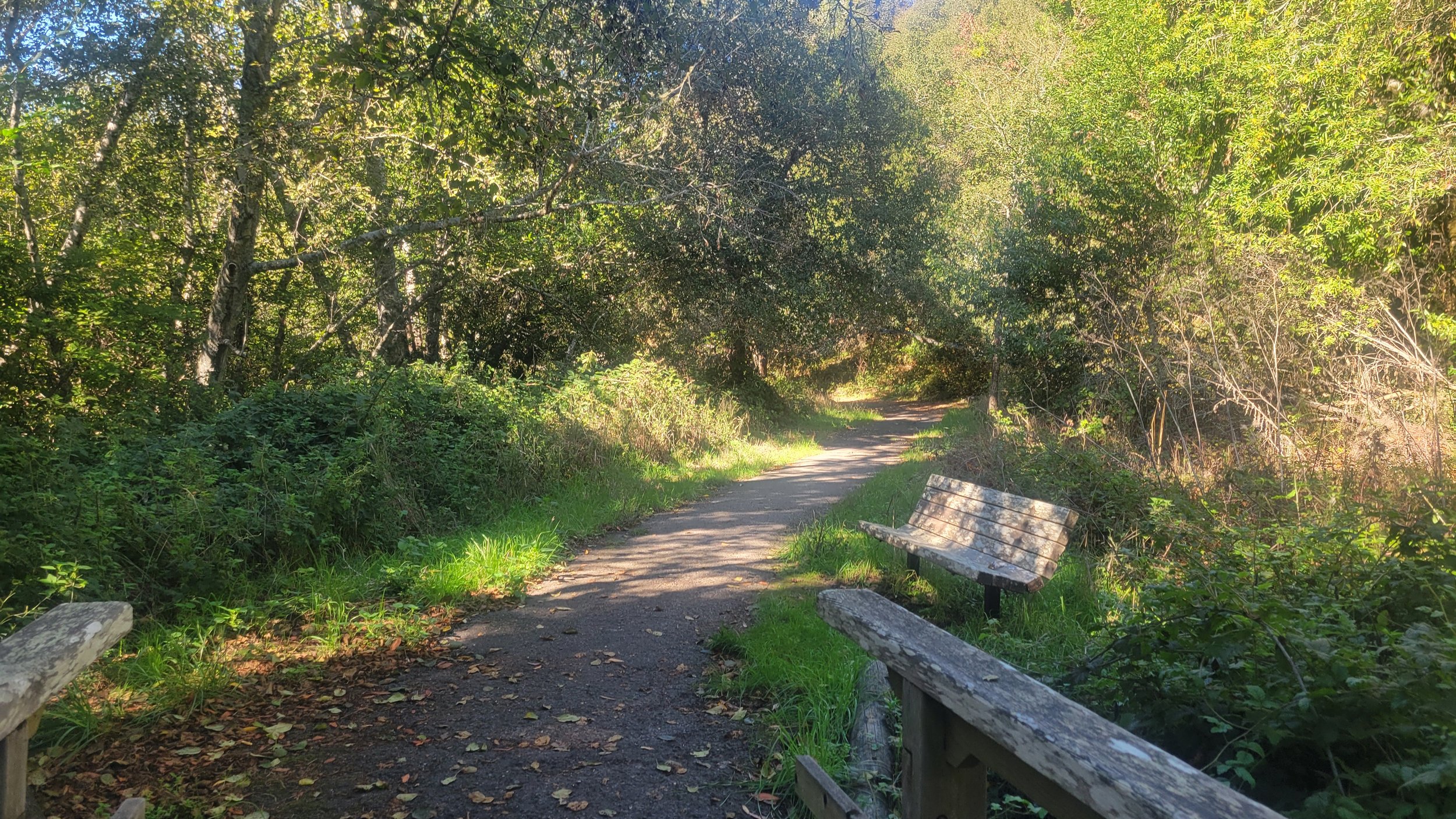 Stay With Me: A Sacred Practice of Returning to the Present Moment