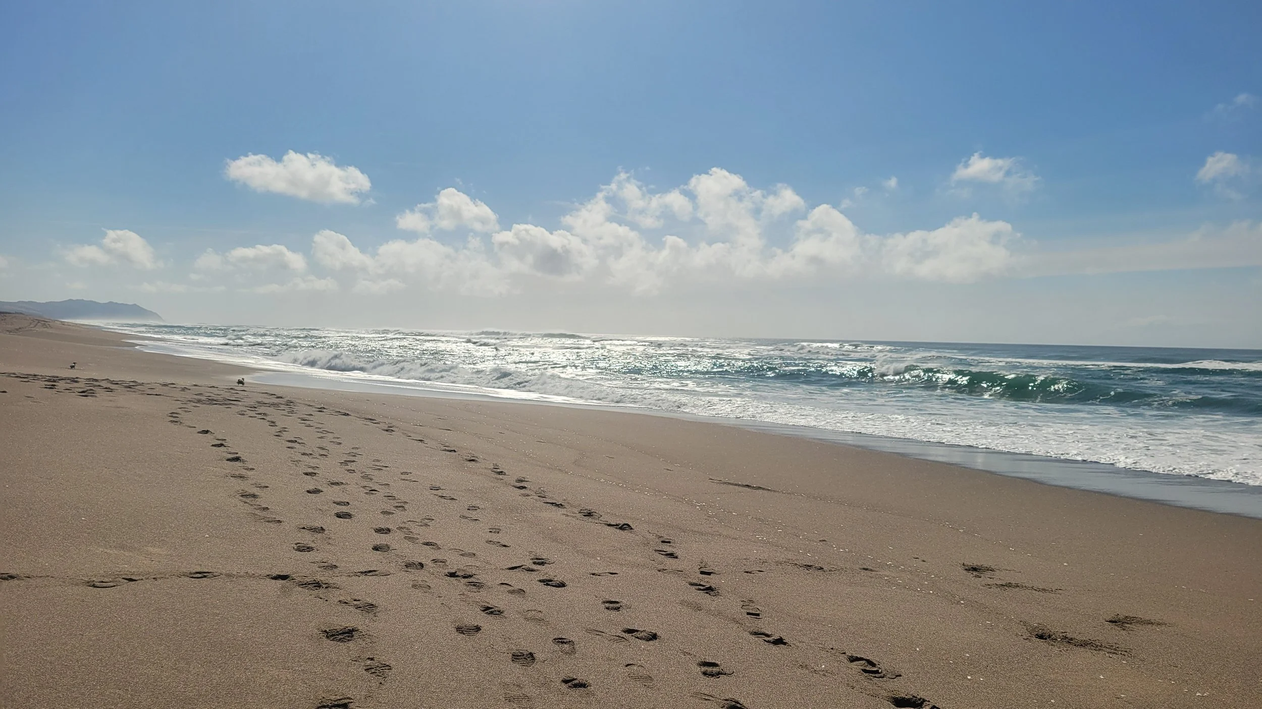 North Beach at Point Reyes with sunlight shimmering on the ocean and footprints leading along the sandy shore