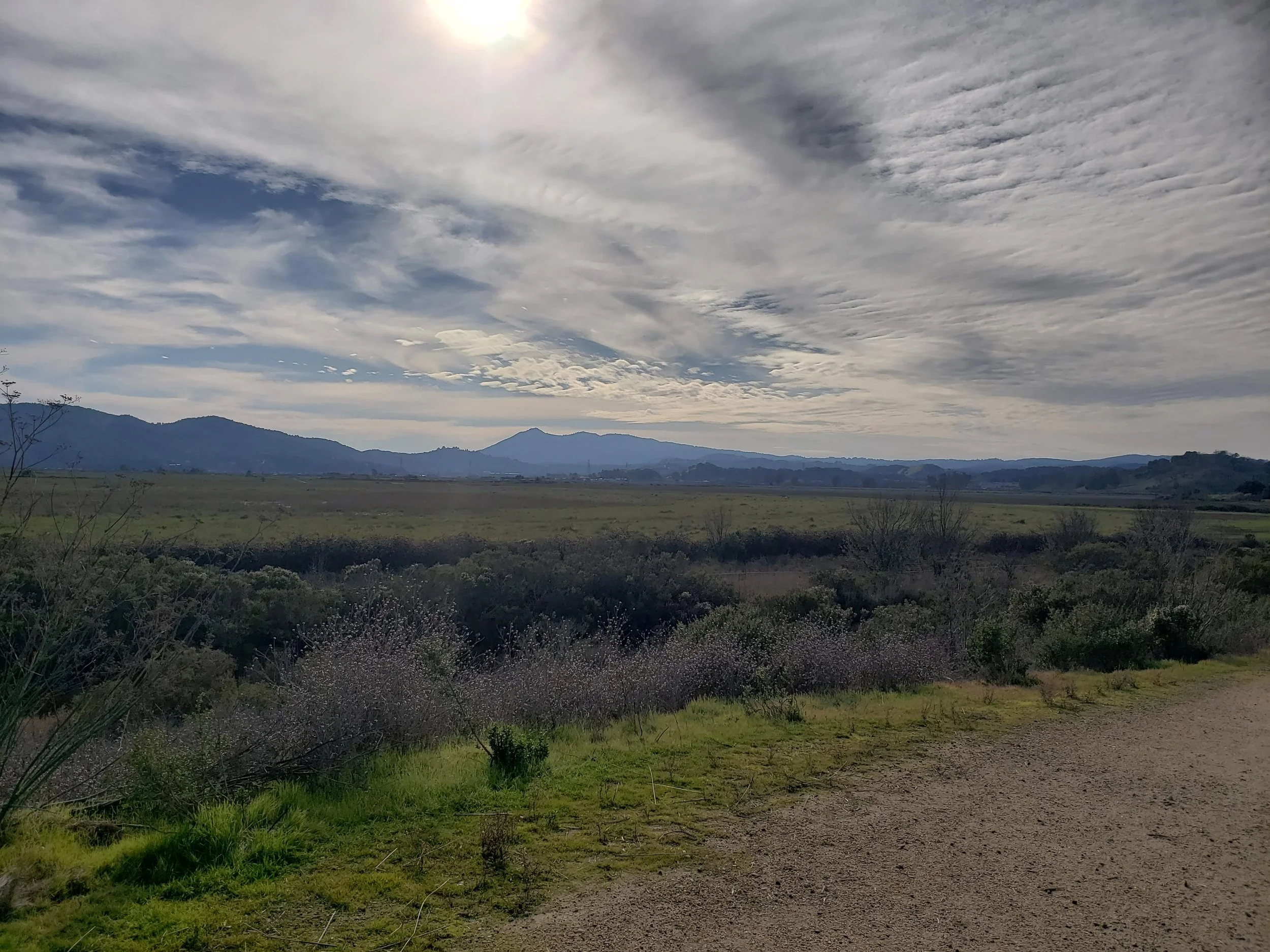 Mount Tamalpais in Marin County beneath an open sky with streaky clouds above green grassland in the foreground.