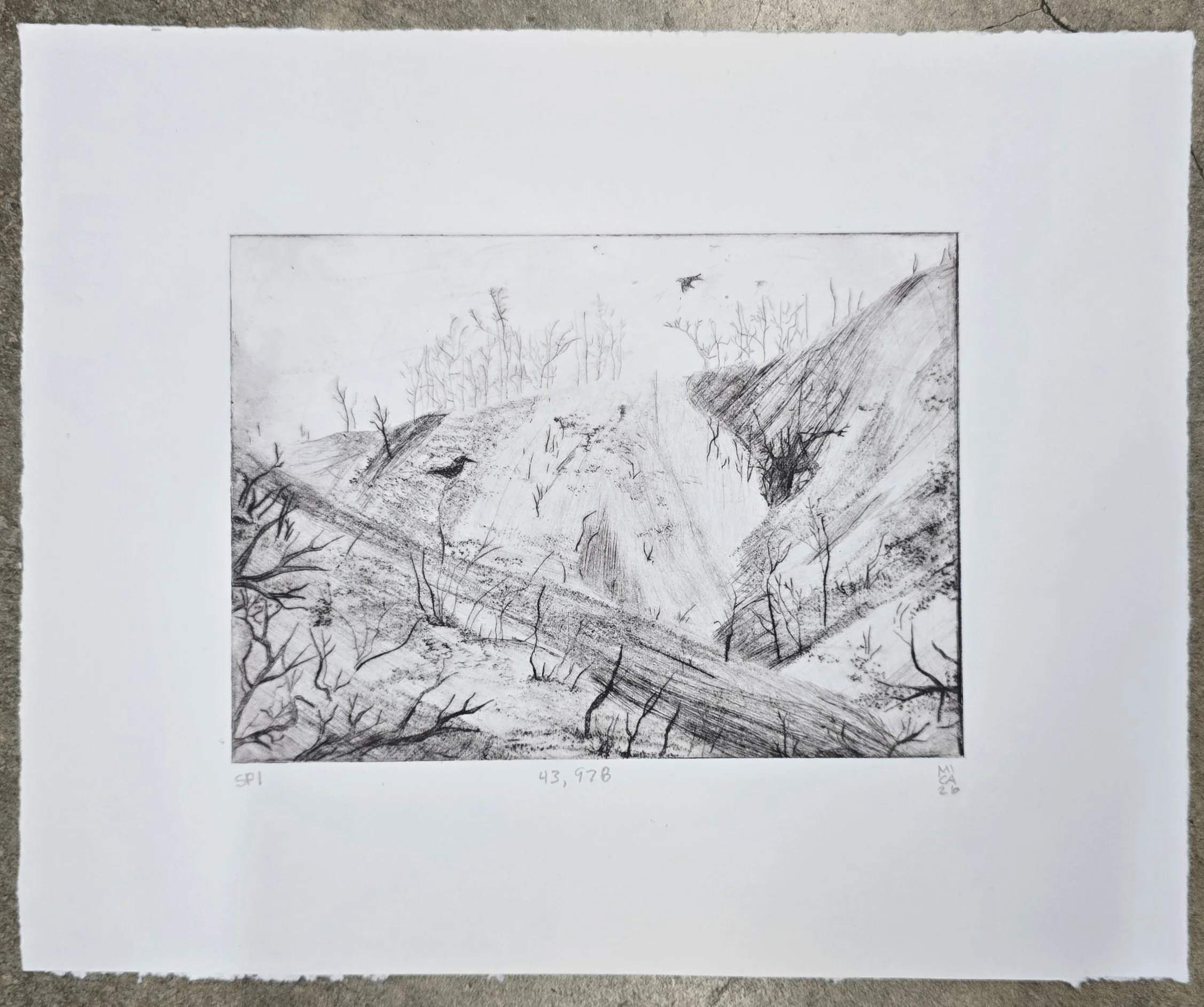 "43,978" 2026, drypoint, 11" x 9"