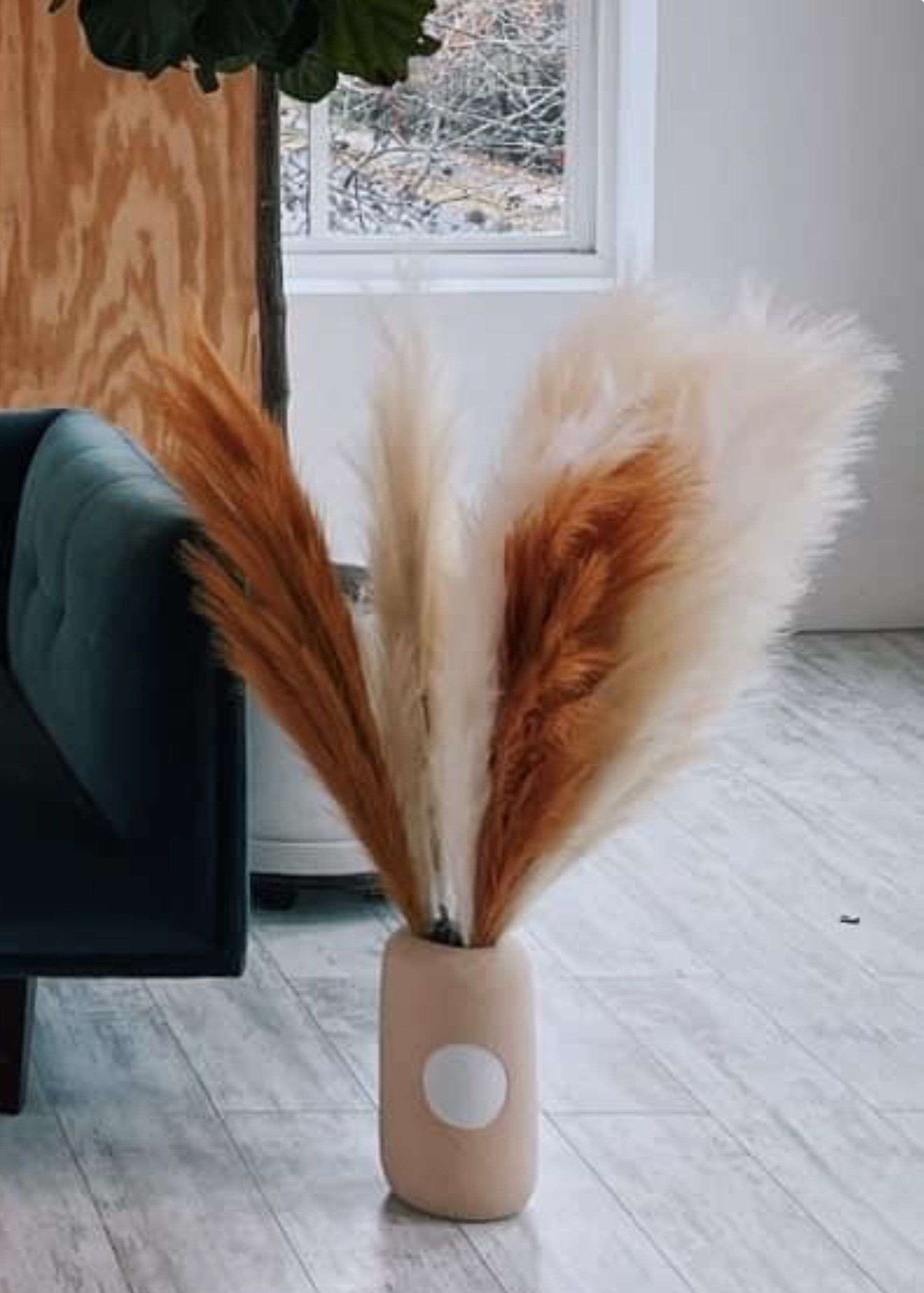 Pampas Grass (Tall)