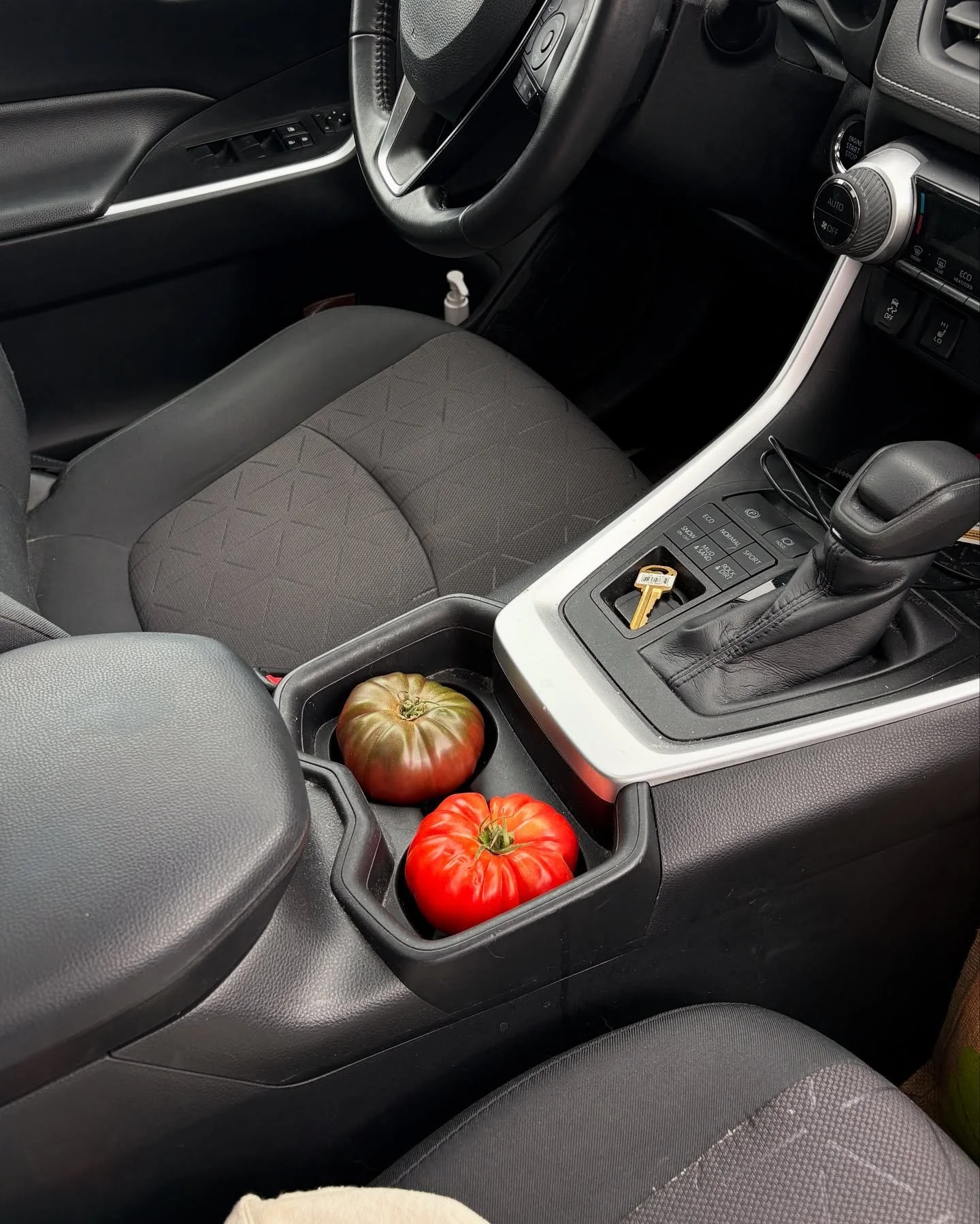 This could be us🍅🫶🏼✨

#tomatoseason #heirloomtomatoes #acidleague