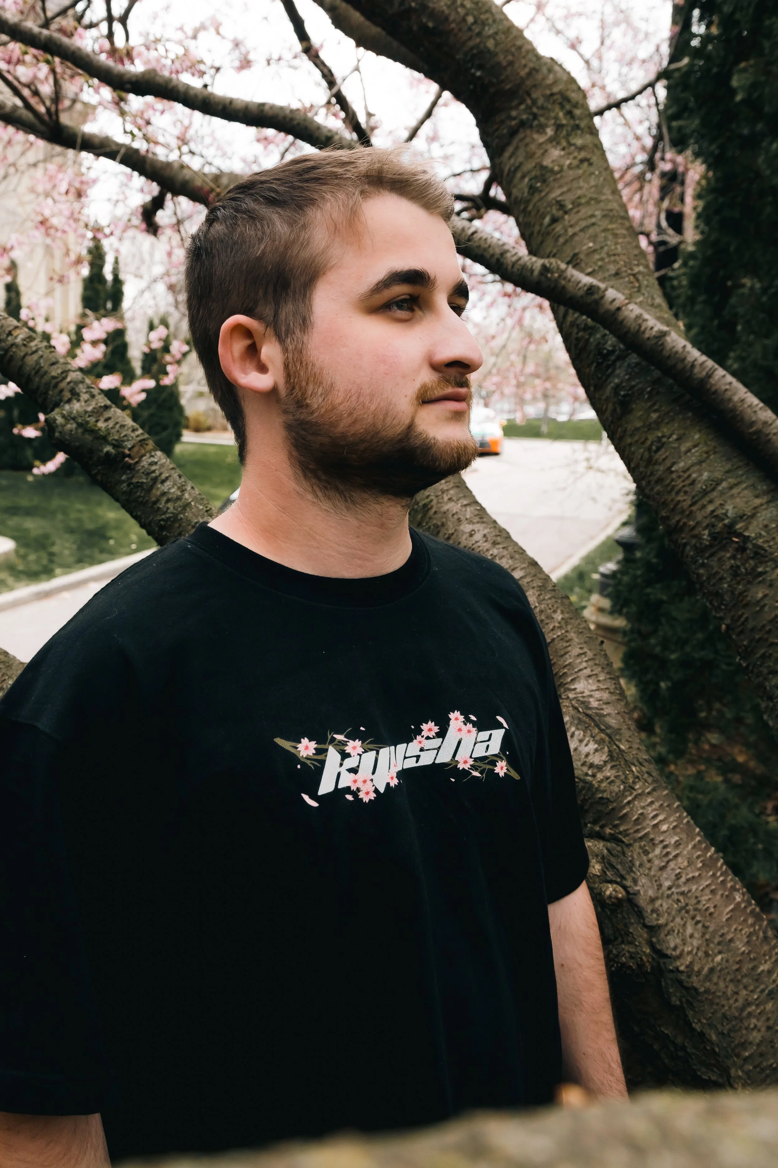 Cherry Blossoms 2023 By TSG no watermark-02.jpg