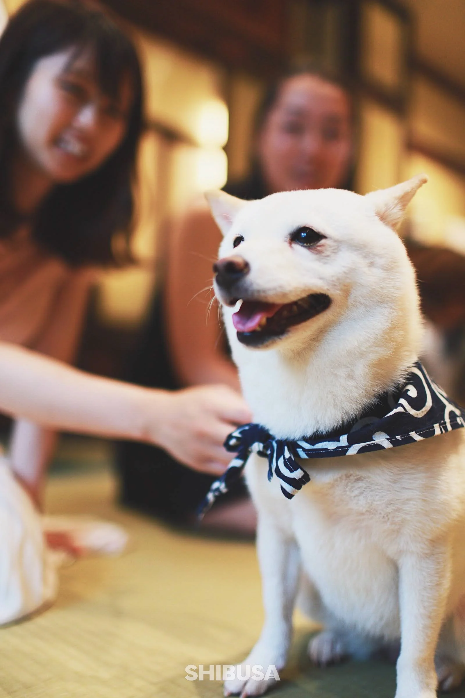 Japan 2019 Photos-06.jpg