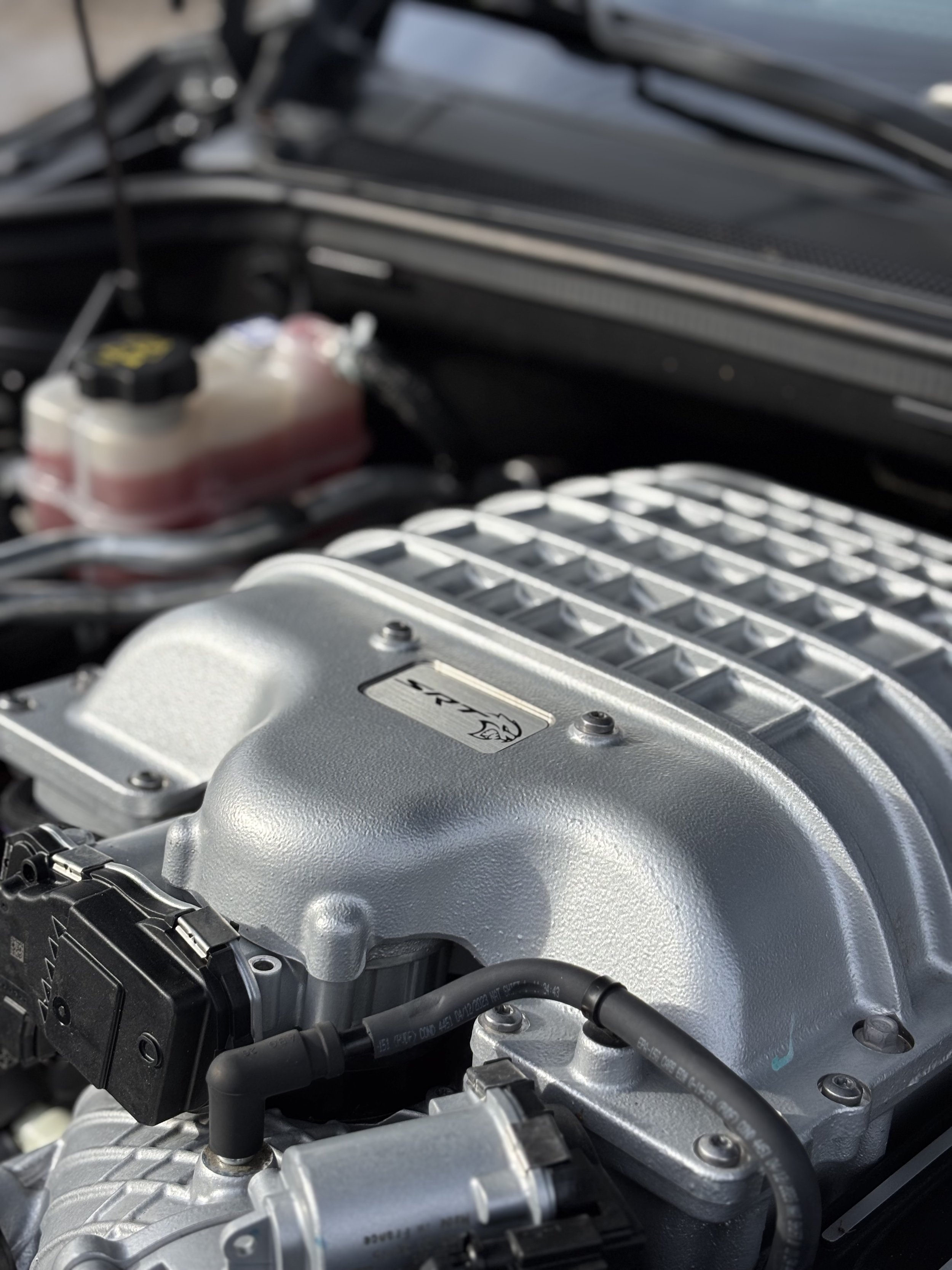 Close-up of a silver Mustang Shelby Super Snake engine with a 'Supercharged' badge and Cobra logo, showing engine components and hoses.