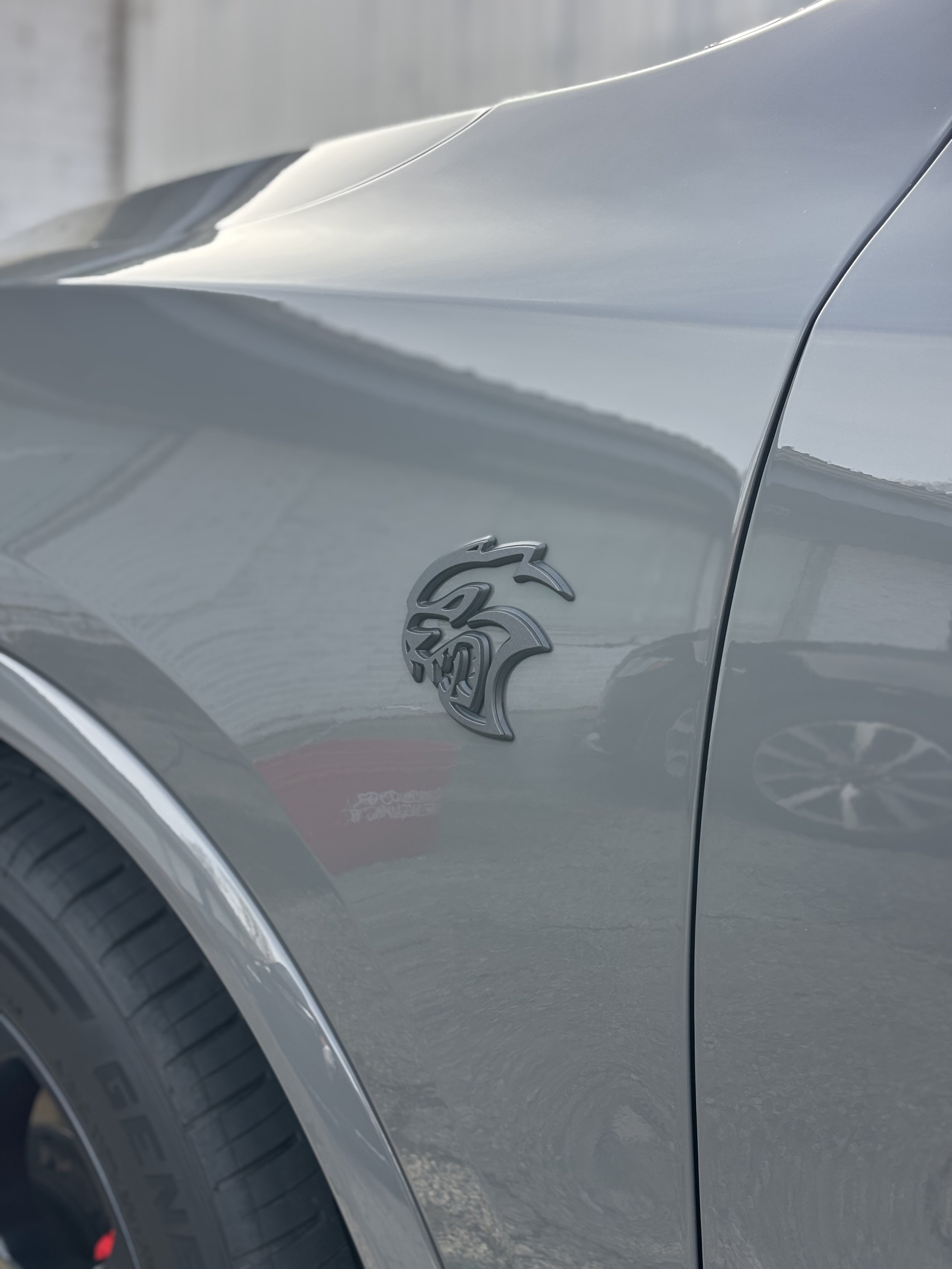 Close-up of a gray car's fender with a black emblem of a stylized lion head.