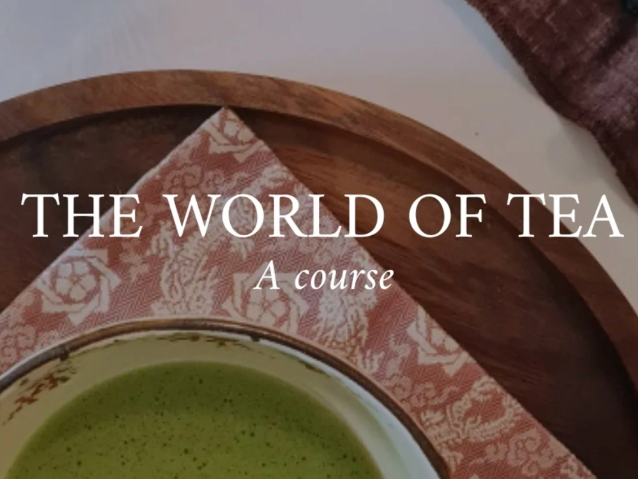 Welcome to the World of Tea&nbsp;— A Tea Course at Helsingin Aikuisopisto, Taught by Patricia