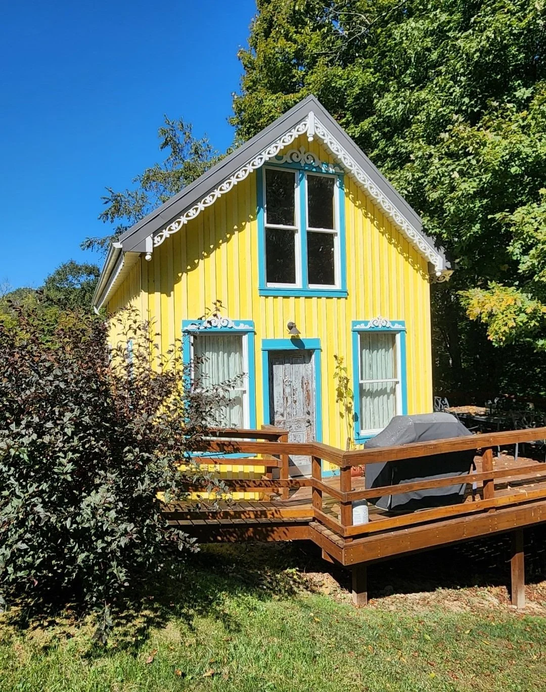                          "Mardi Gras" Cabin  
