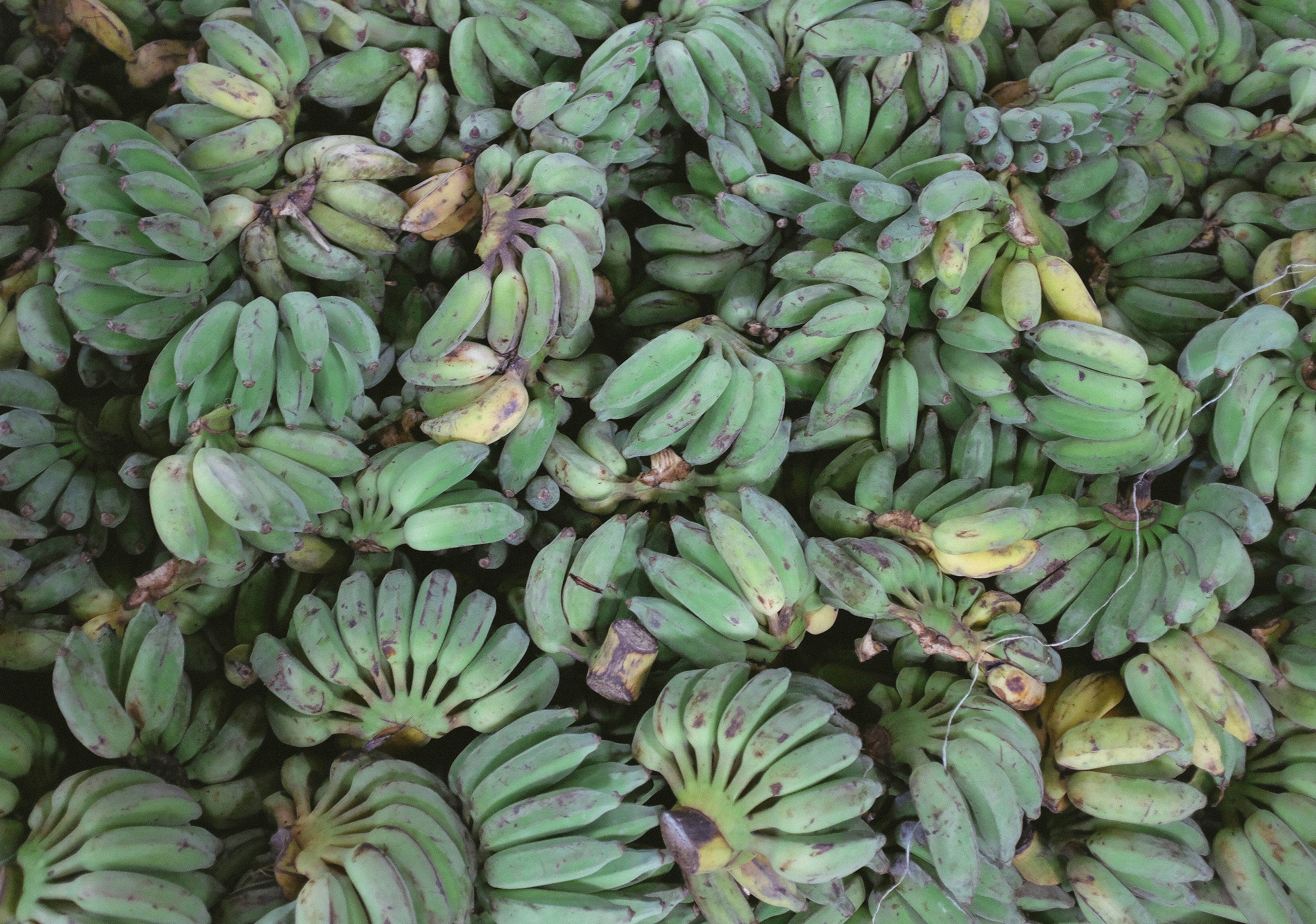 Plantain : the food for indigestion