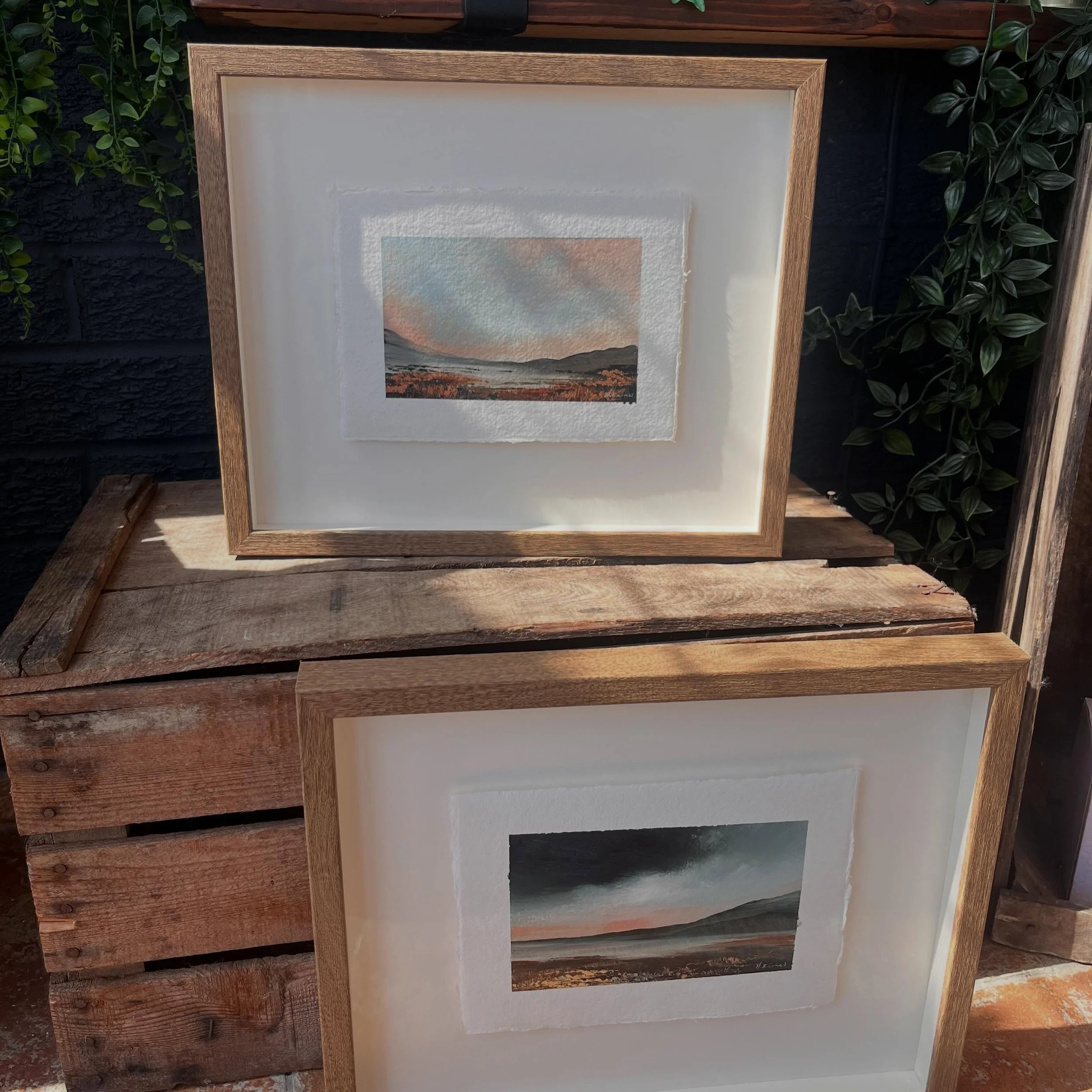 What a pretty pair 😍🤍

Float mounted to show off those beautiful deckled edges and framed in a contemporary warm wood✨
These two will be near a window so have used @artglass_by_groglass to protect and enhance the clarity 🤍

🎨: @hbarnes_art